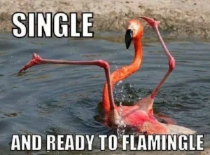 vday2.jpg
