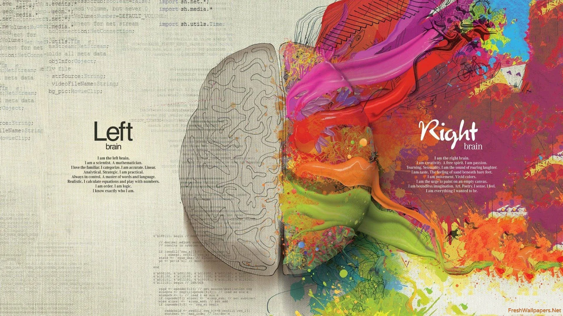 left-brain-and-right-brain.jpg