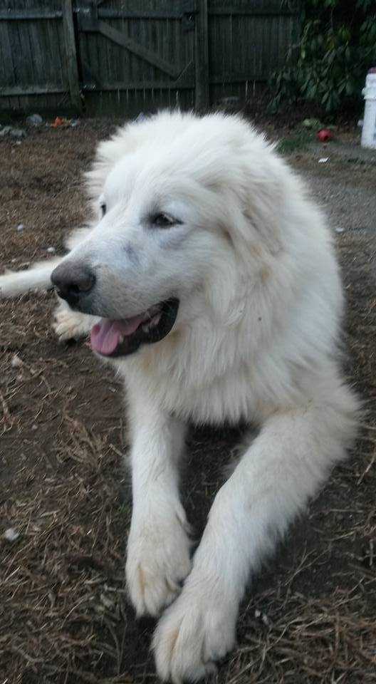 Casper10.jpg