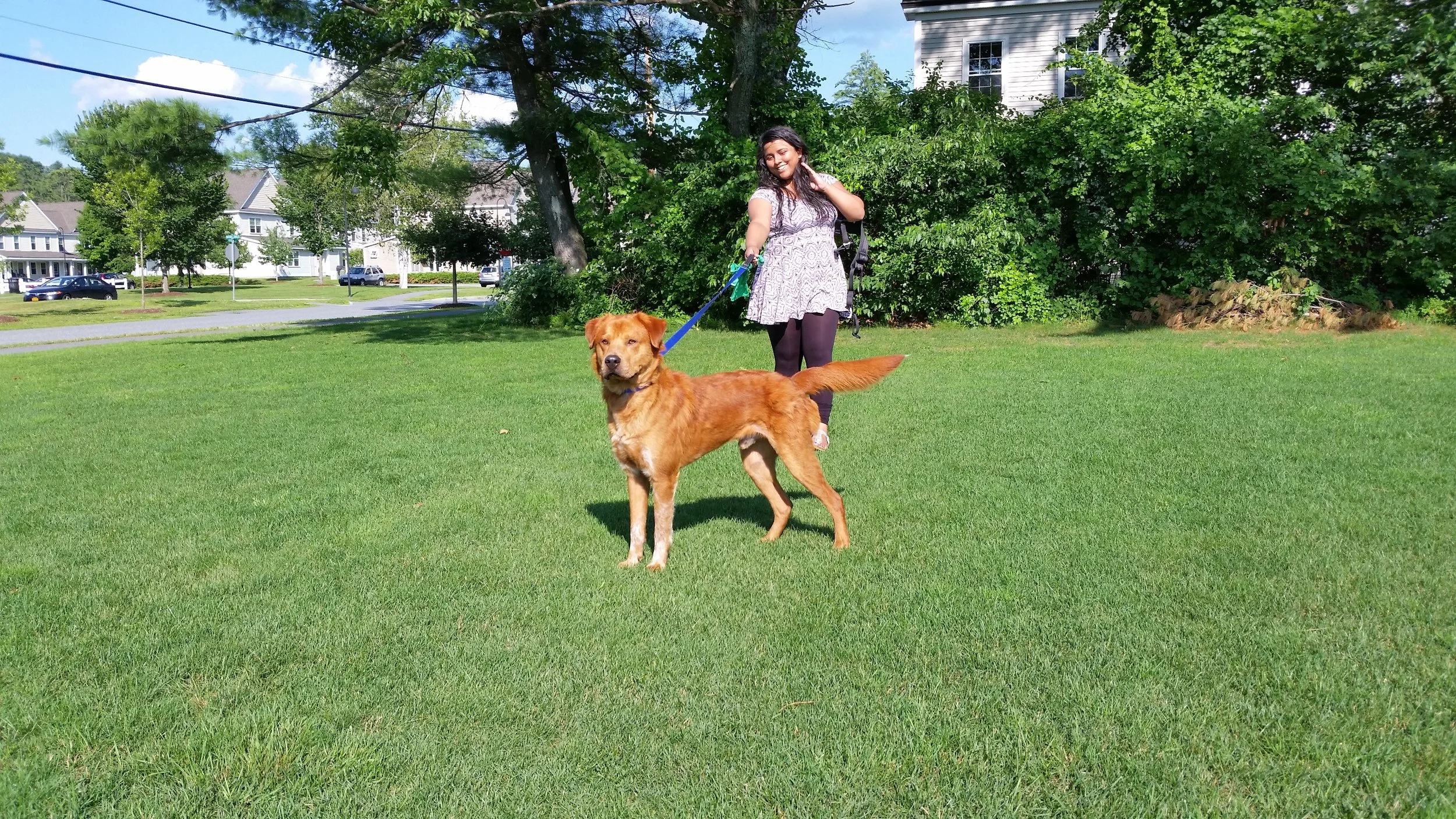 20170716_165804.jpg