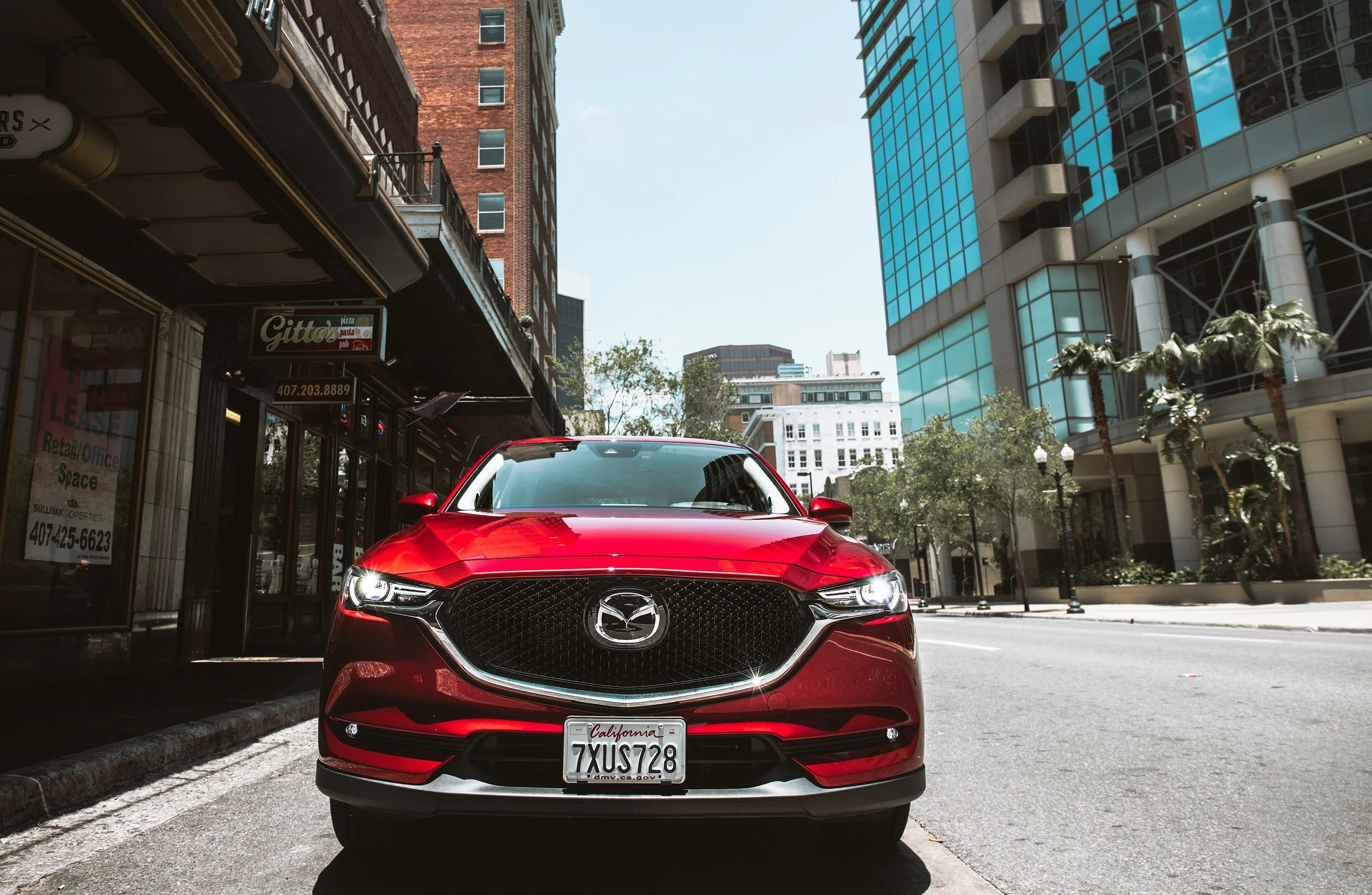Mazda CX5 | Florida 2017 | © Vanessa Boy | vanessaboy.com 2 .jpg