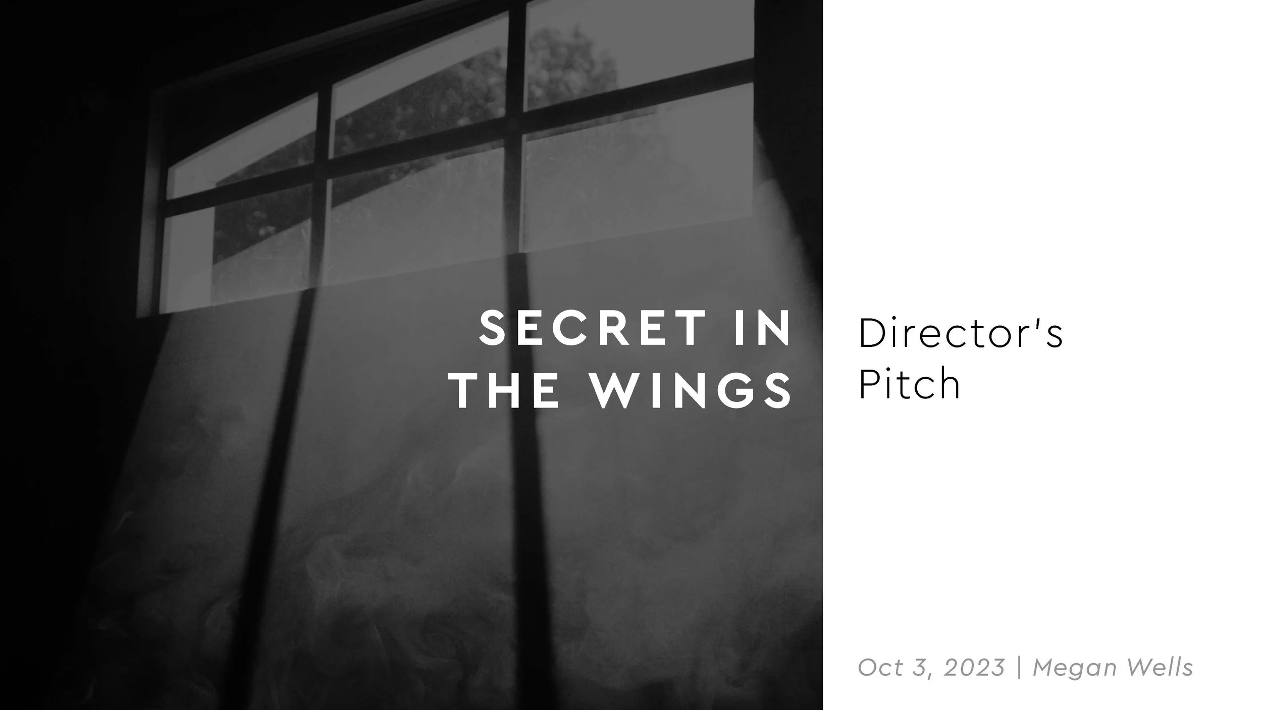 Secret-in-the-Wings_Directors-Pitch_100323_Page_01.jpg