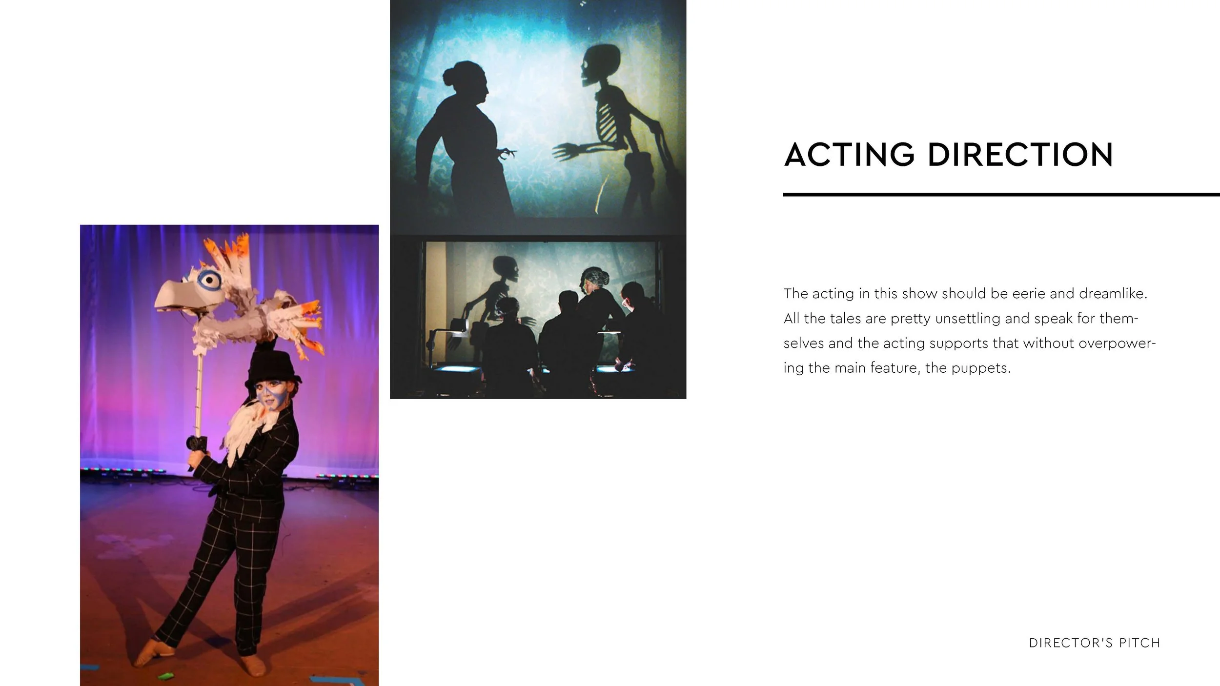 Secret-in-the-Wings_Directors-Pitch_100323_Page_11.jpg