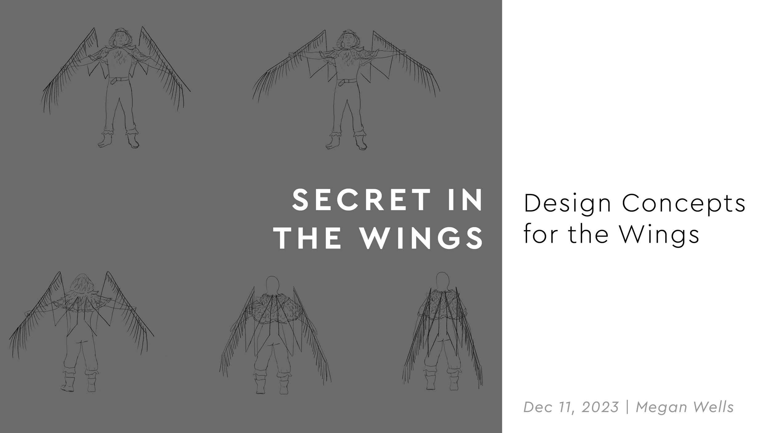 SITW_Design-Concepts.jpg