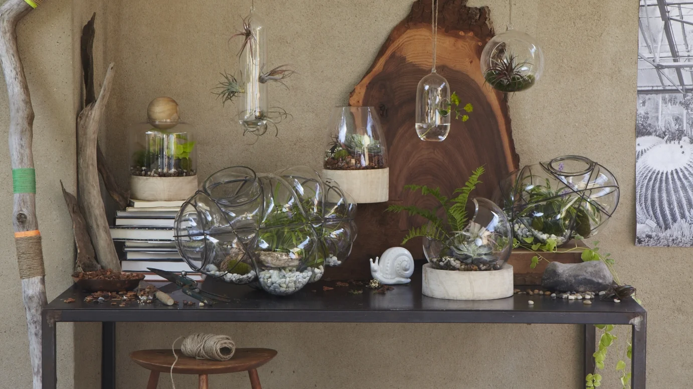 C3_terrariums_feat_v1_med_hero.jpg