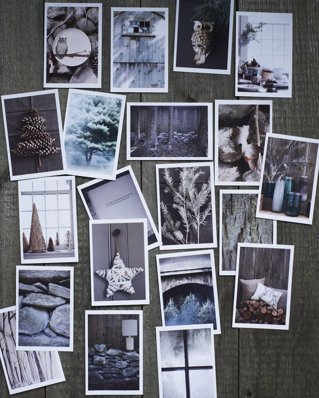 HO11_Polaroid_Opener_286_HERO.jpg