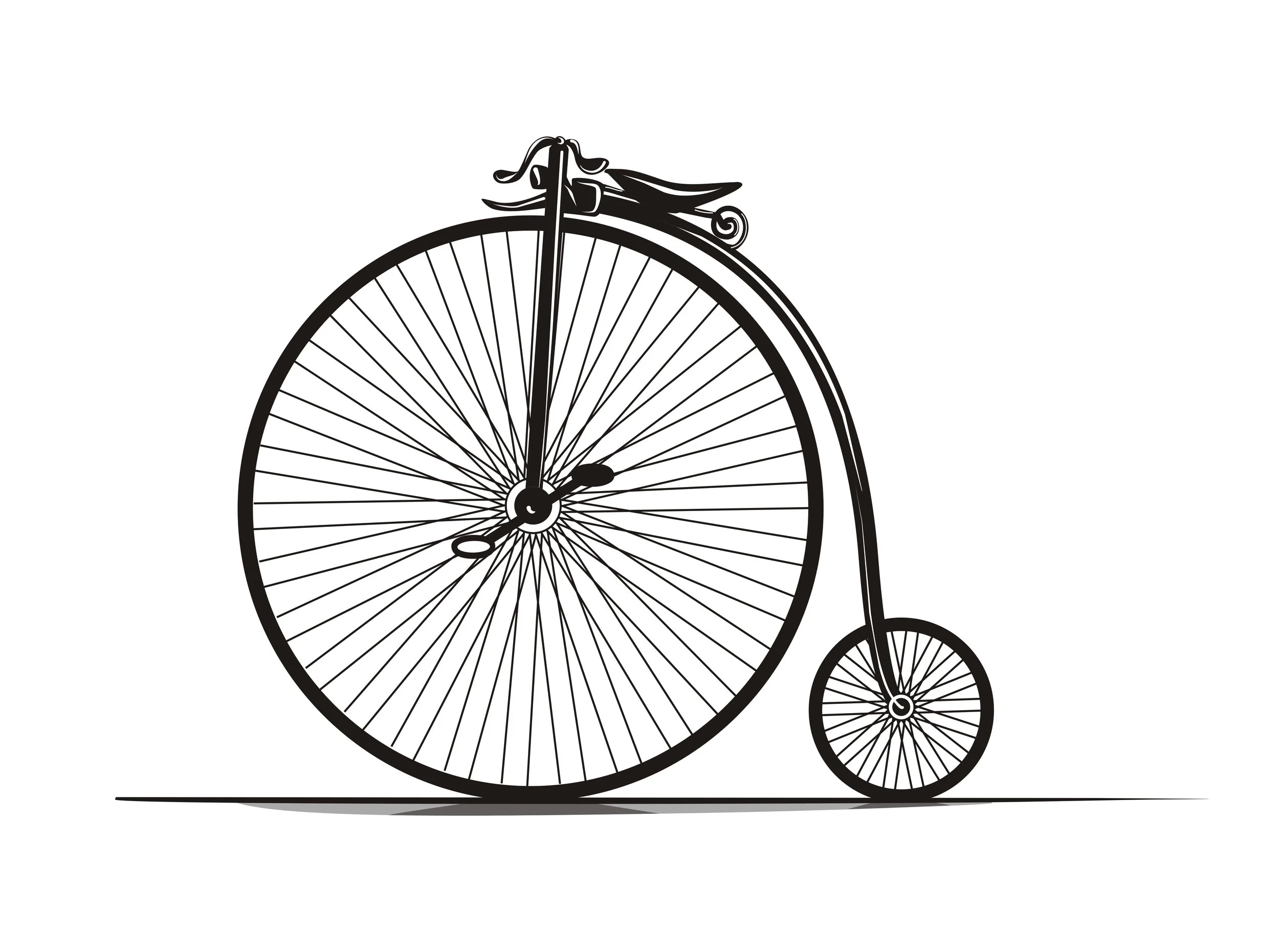 Bike.jpg