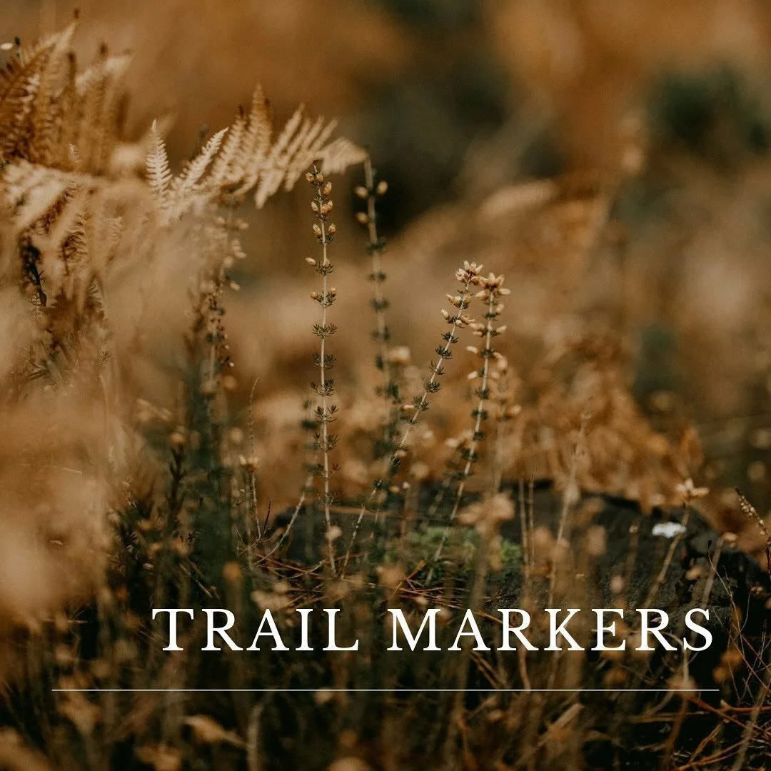 ✨🏔️for the path ahead. 🥾⚡️
⠀⠀⠀⠀⠀⠀⠀⠀⠀
01. Grief doesn&rsquo;t leave- it softens like water smoothing the edges of a rock. 
⠀⠀⠀⠀⠀⠀⠀⠀⠀
02.The way forward isn&rsquo;t always clear, but He whispers- keep going.
⠀⠀⠀⠀⠀⠀⠀⠀⠀
03.Even here, even now, beauty w