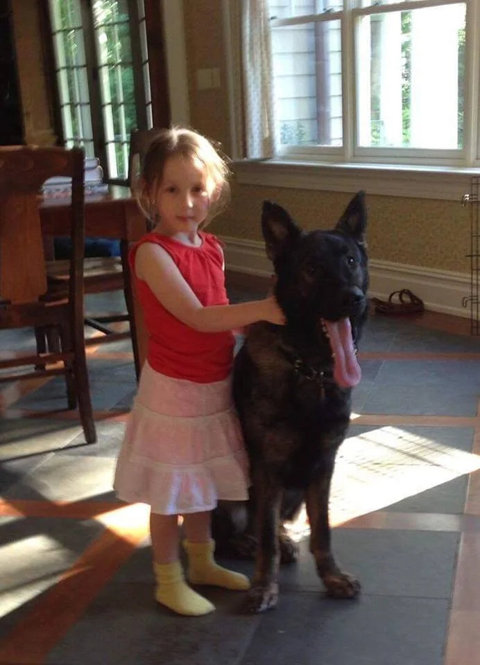 Dog Training Rochester New York