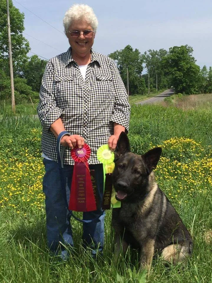 Dog Training Rochester New York