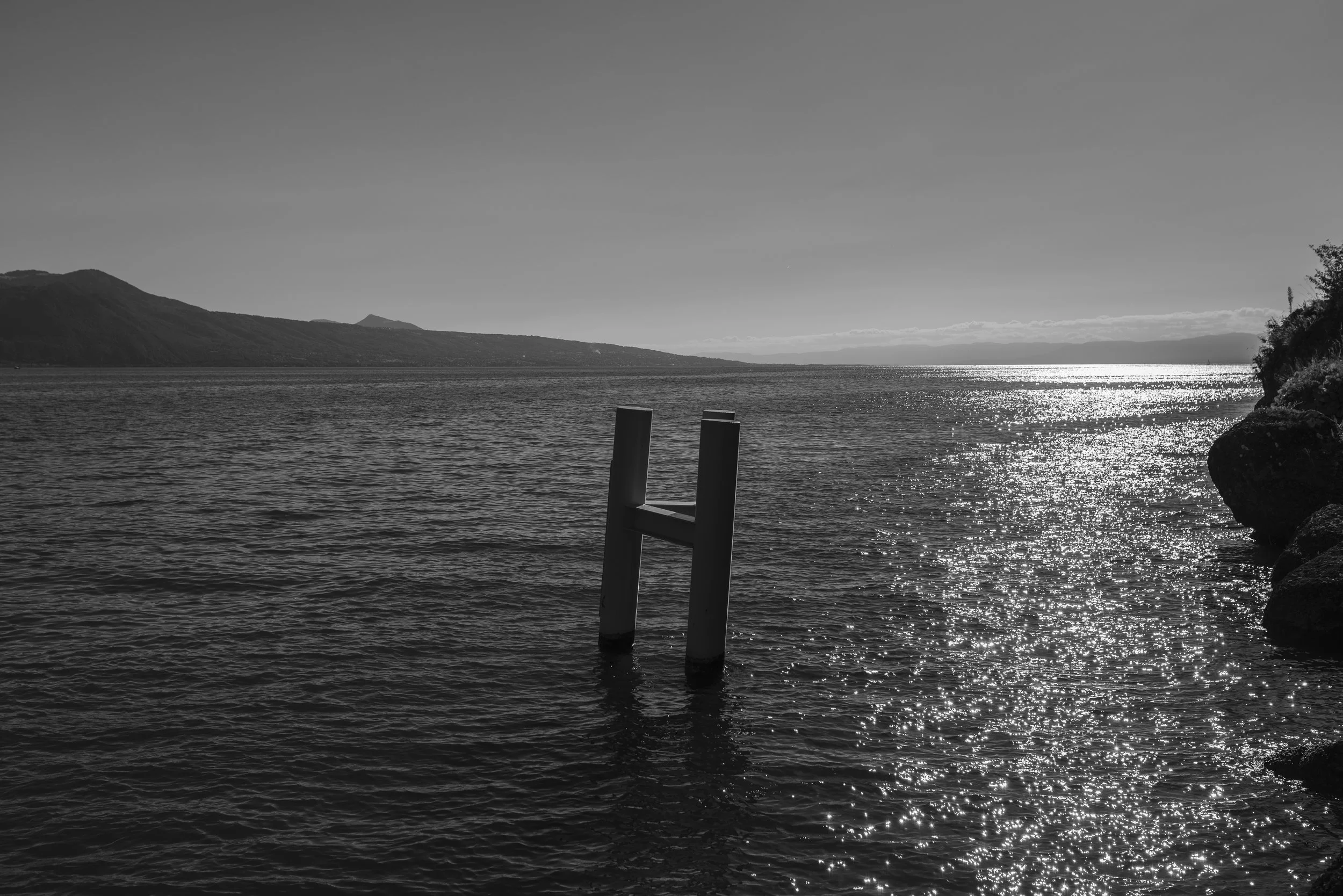 _DSC7855.jpg