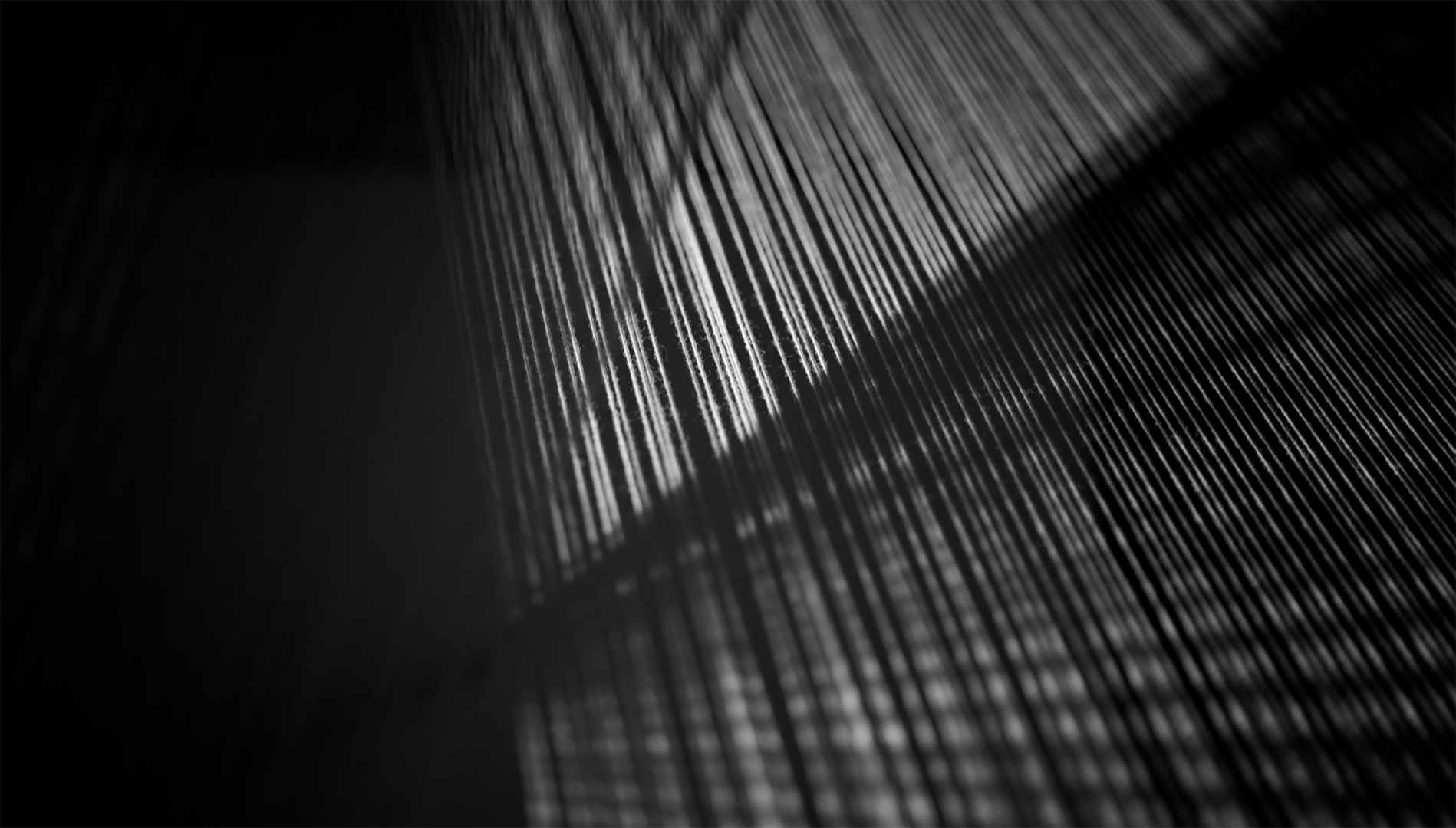 _DSC8809.png