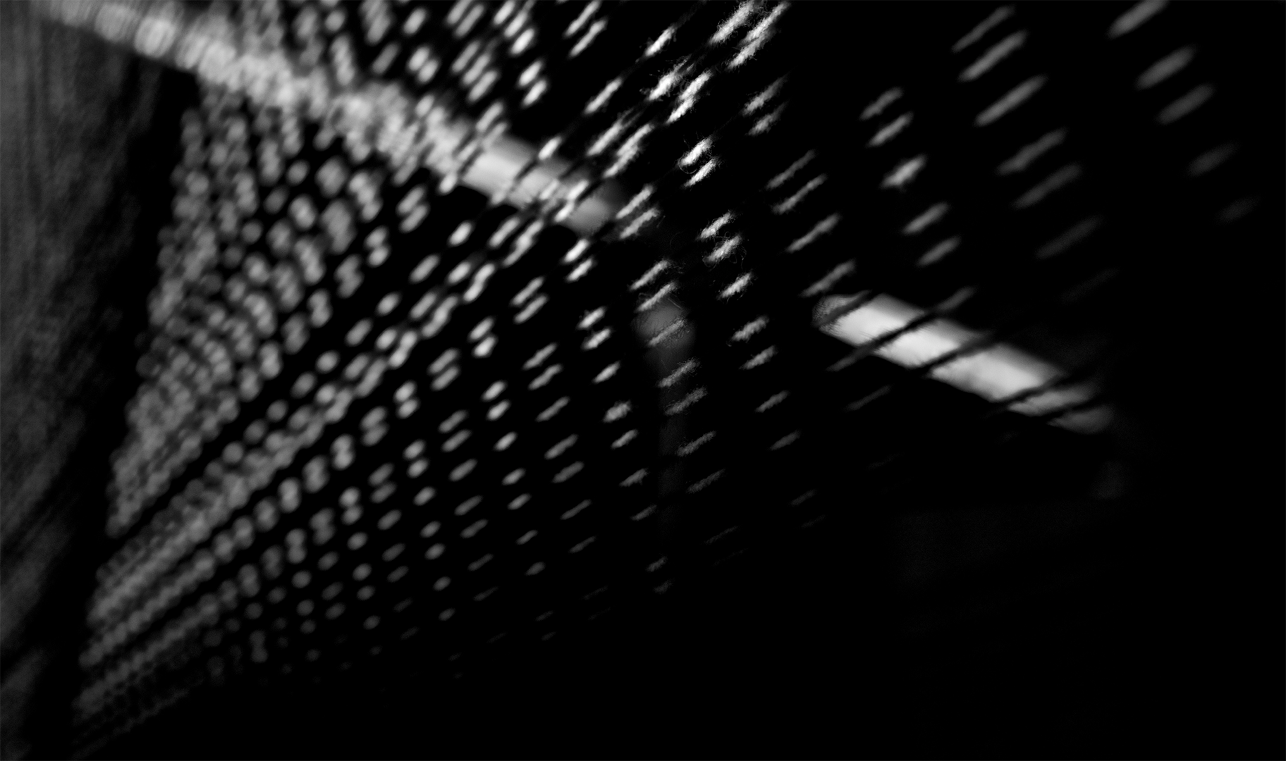 _DSC8832.png