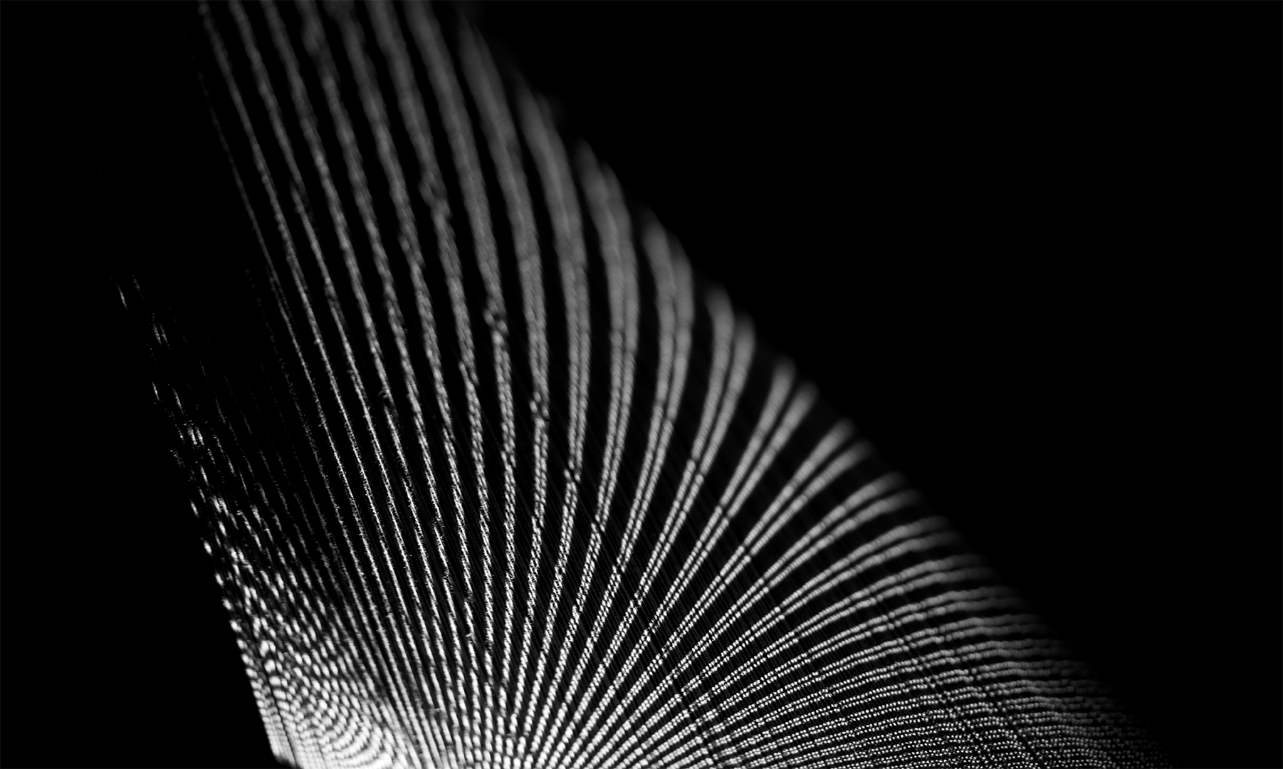 _DSC8844.png