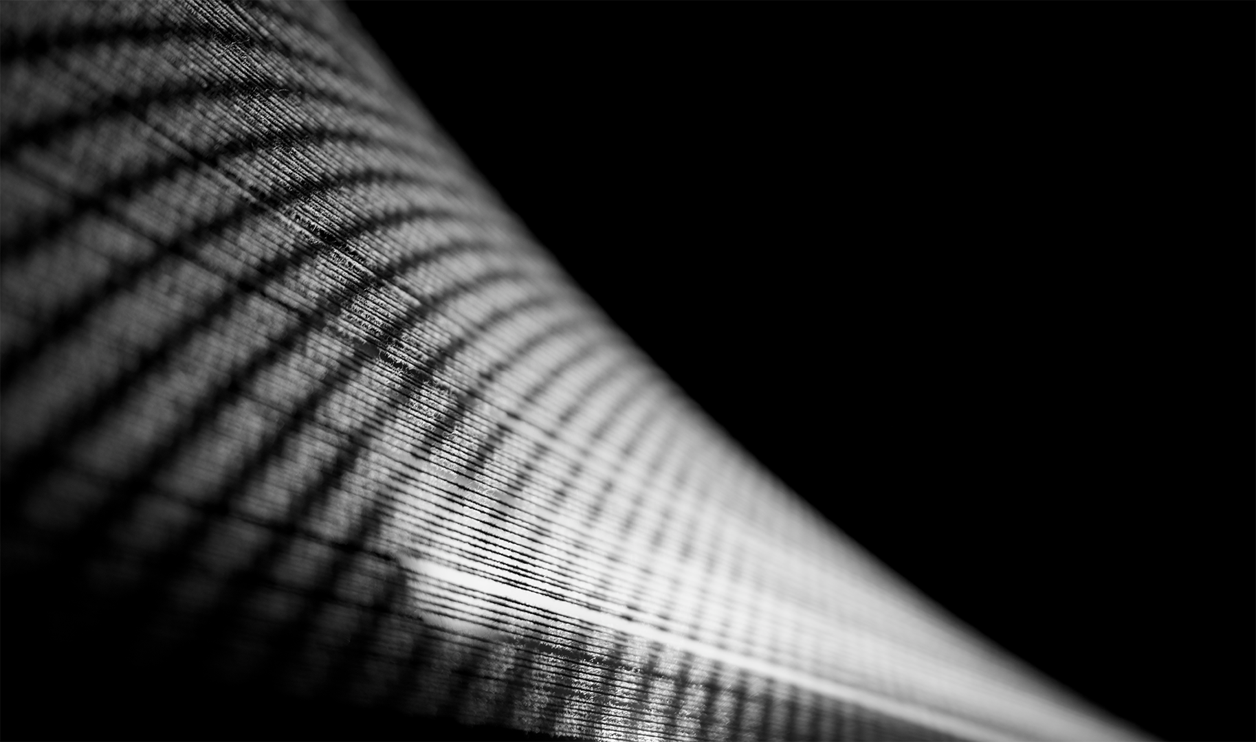 _DSC8855.png