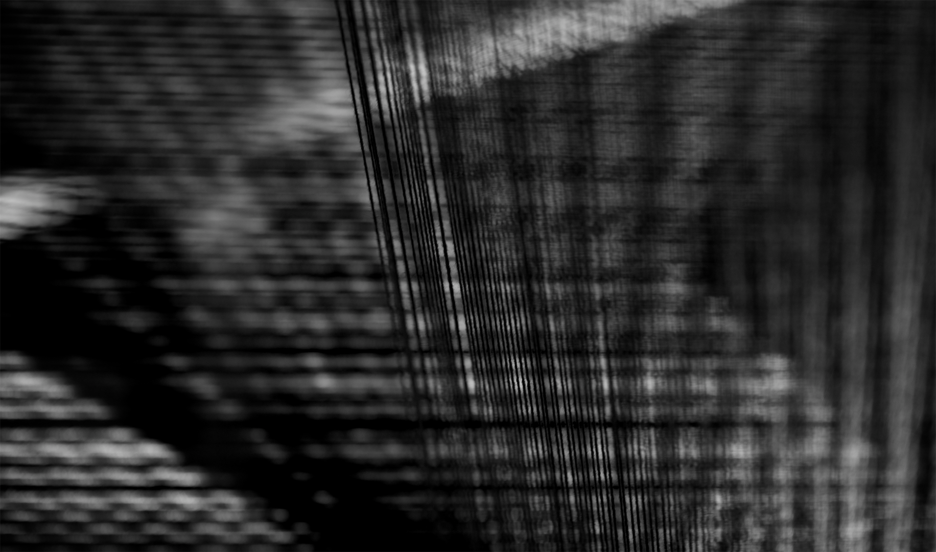 _DSC8884.png