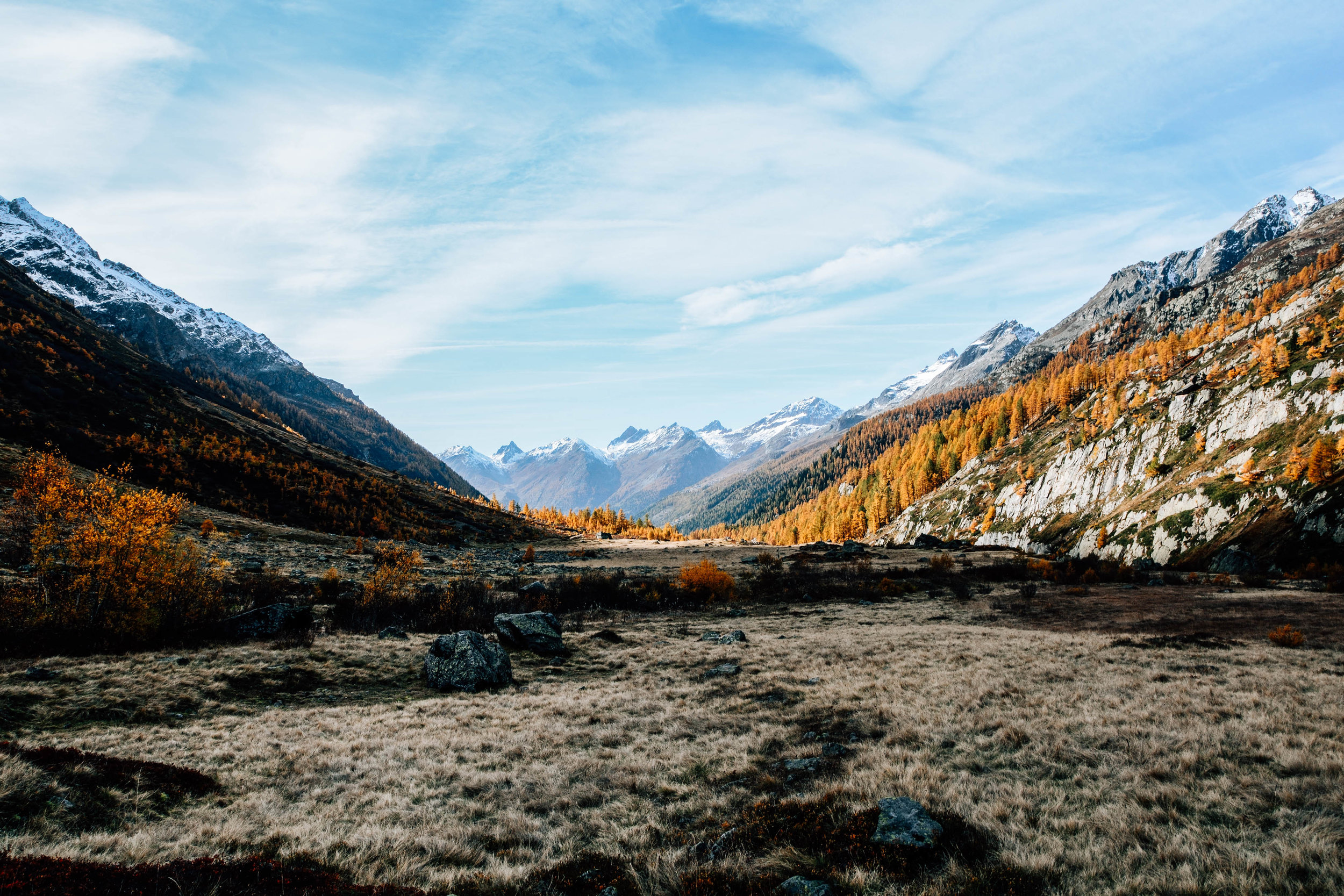 _DSC4787.jpg