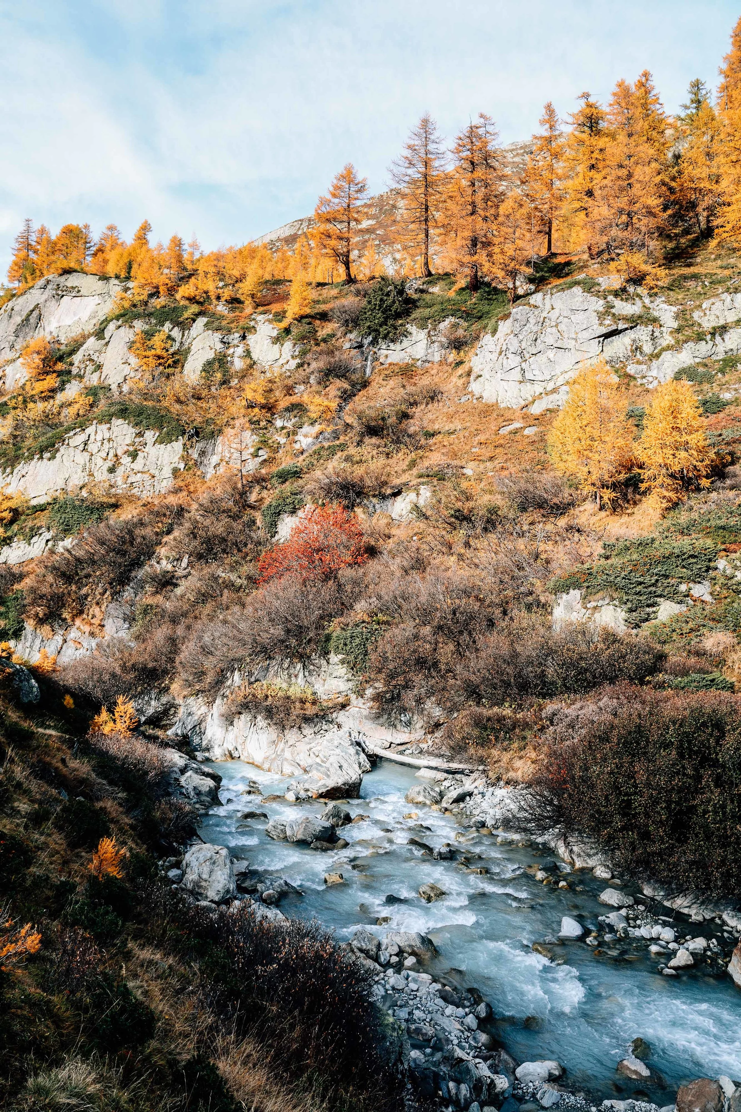 _DSC4802.jpg