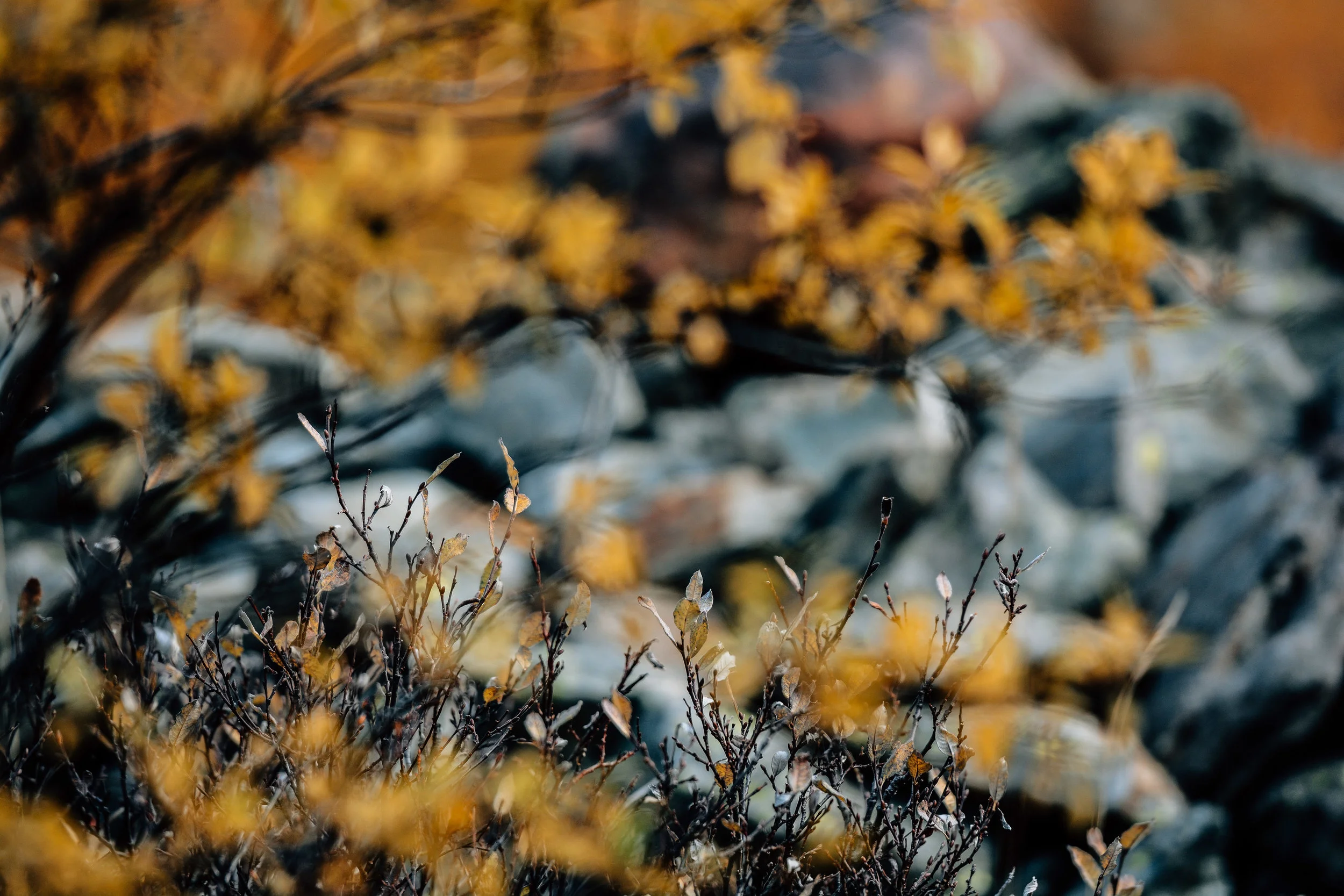 _DSC4876.jpg