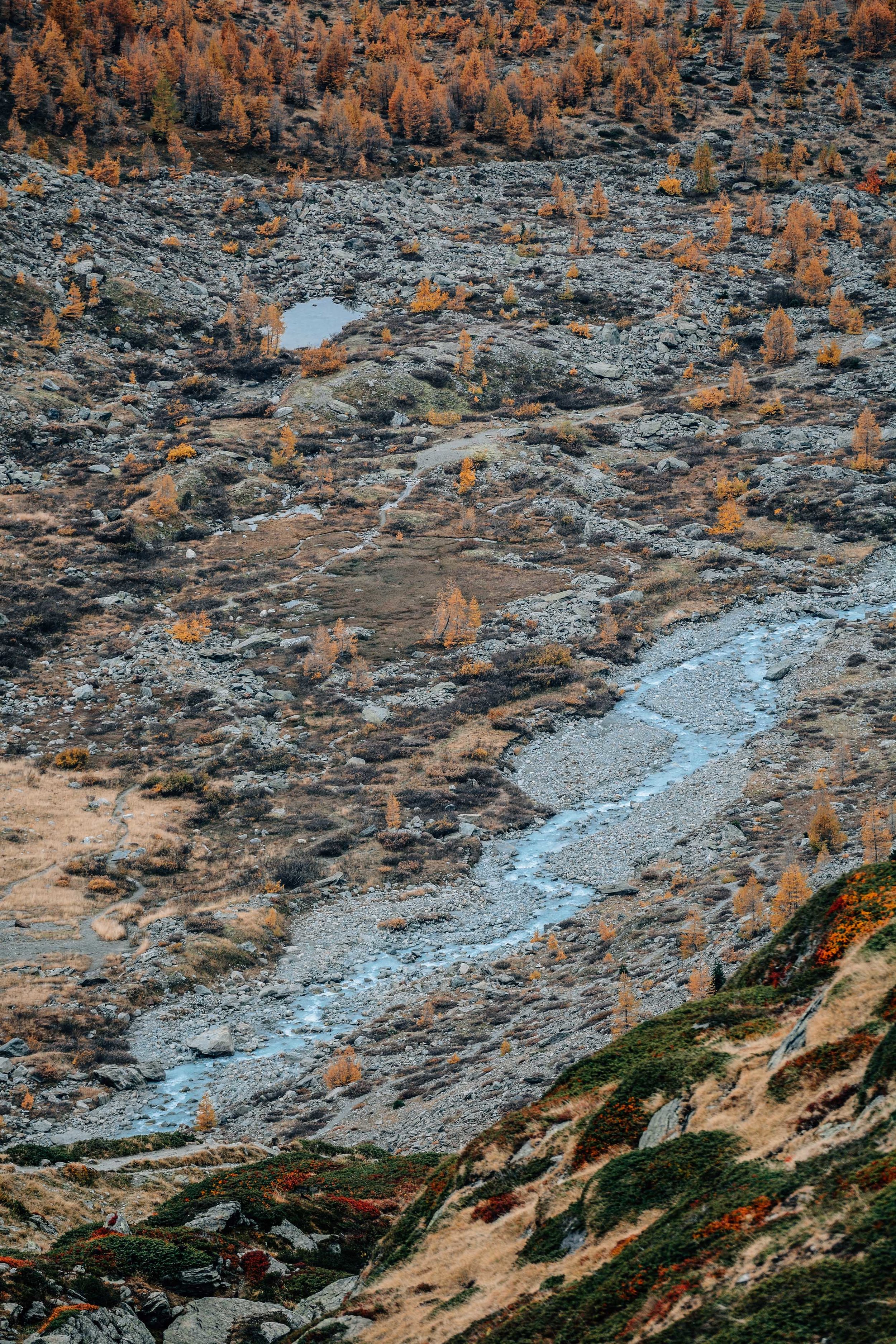 _DSC5072.jpg