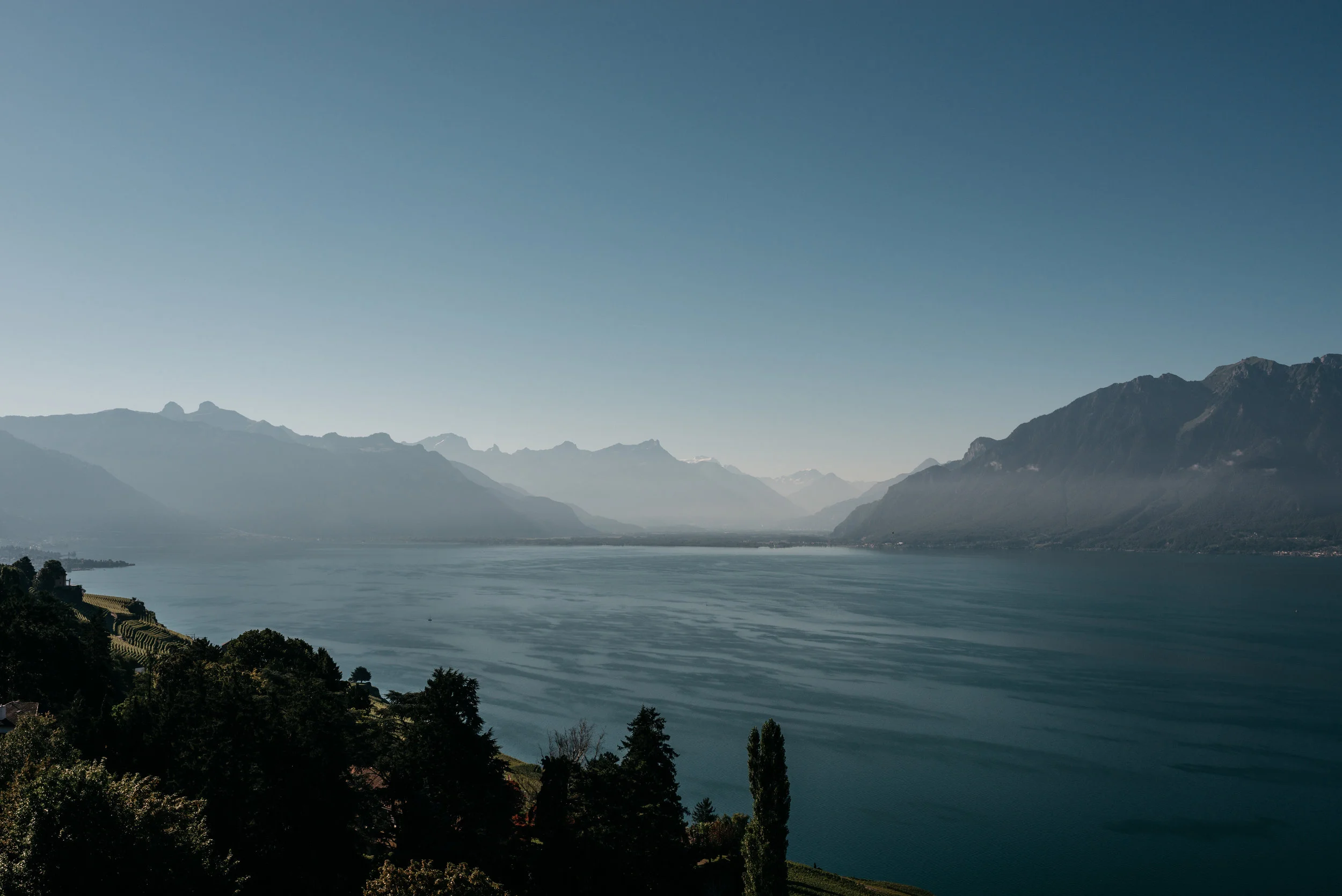 _DSC7996.jpg