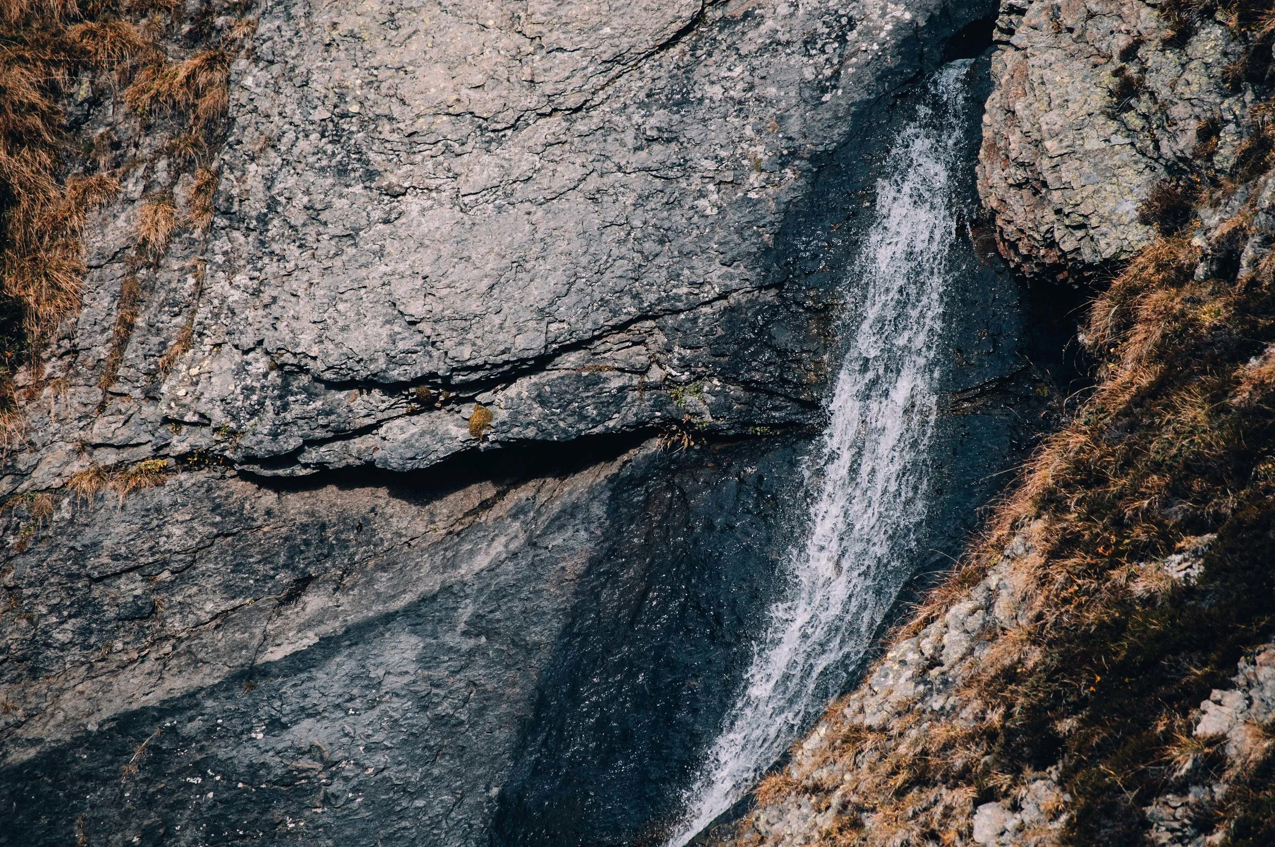_DSC0104.jpg