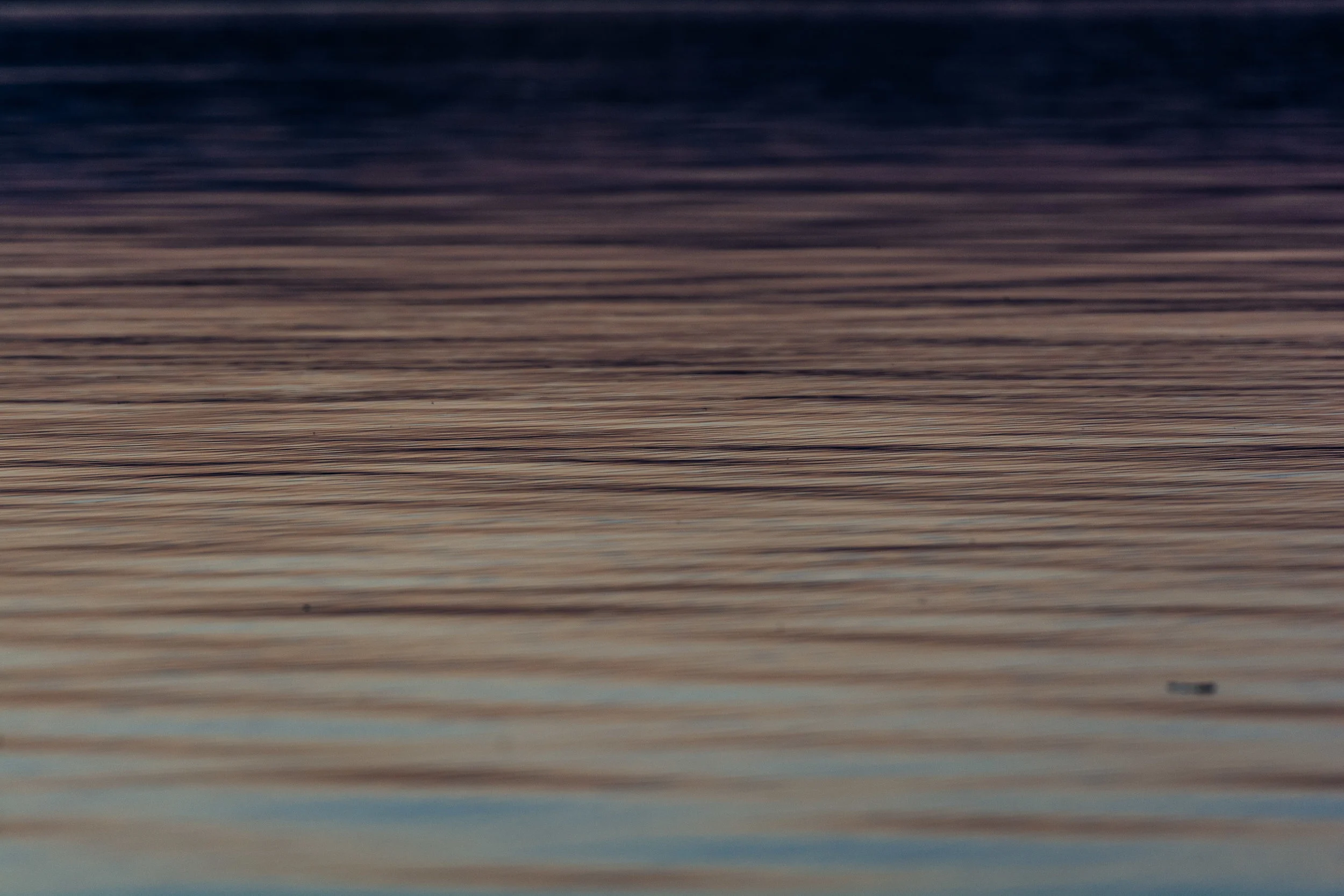 _DSC2103.jpg