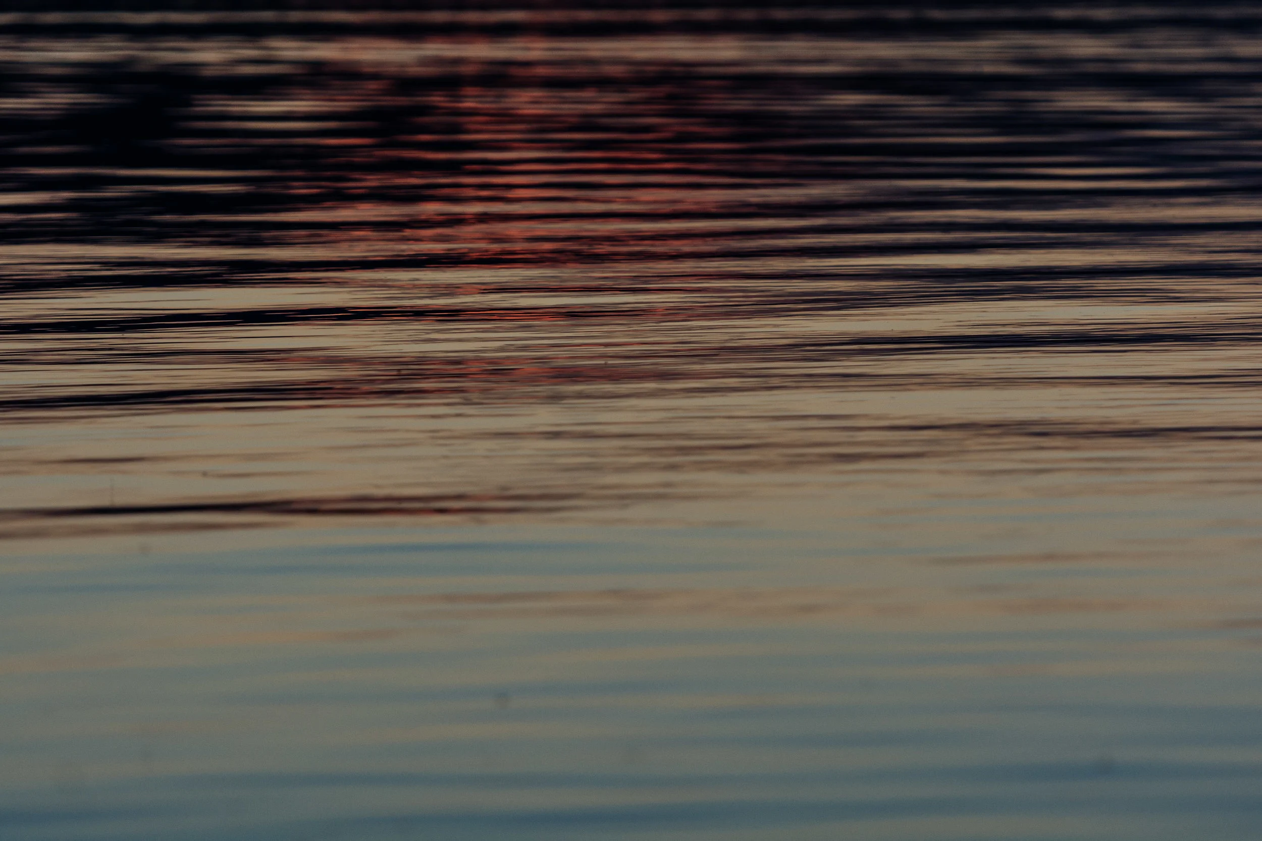 _DSC2083.jpg
