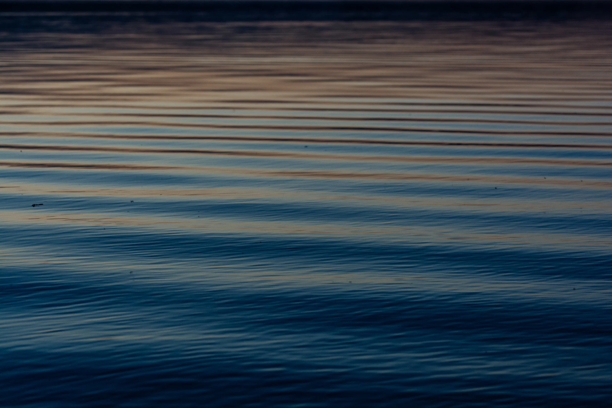 _DSC2092.jpg