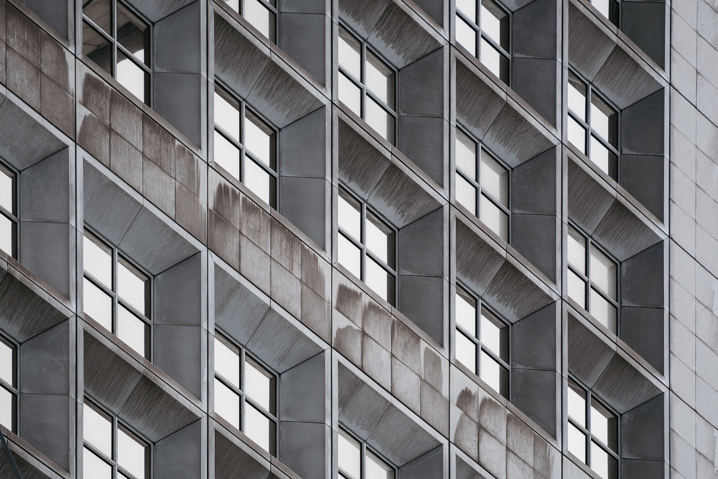 _DSC0203-Edit.jpg