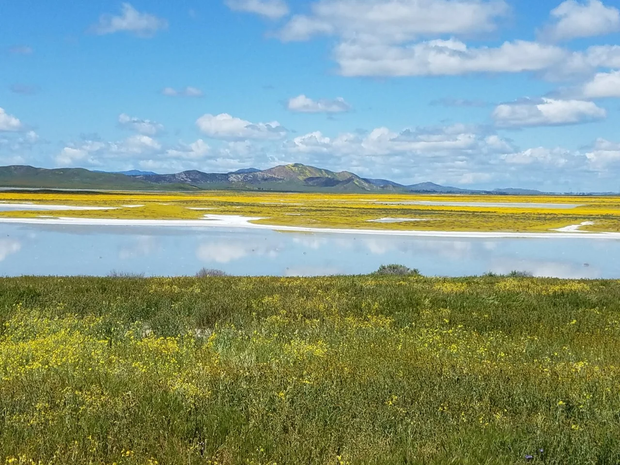 Things I want to do this spring