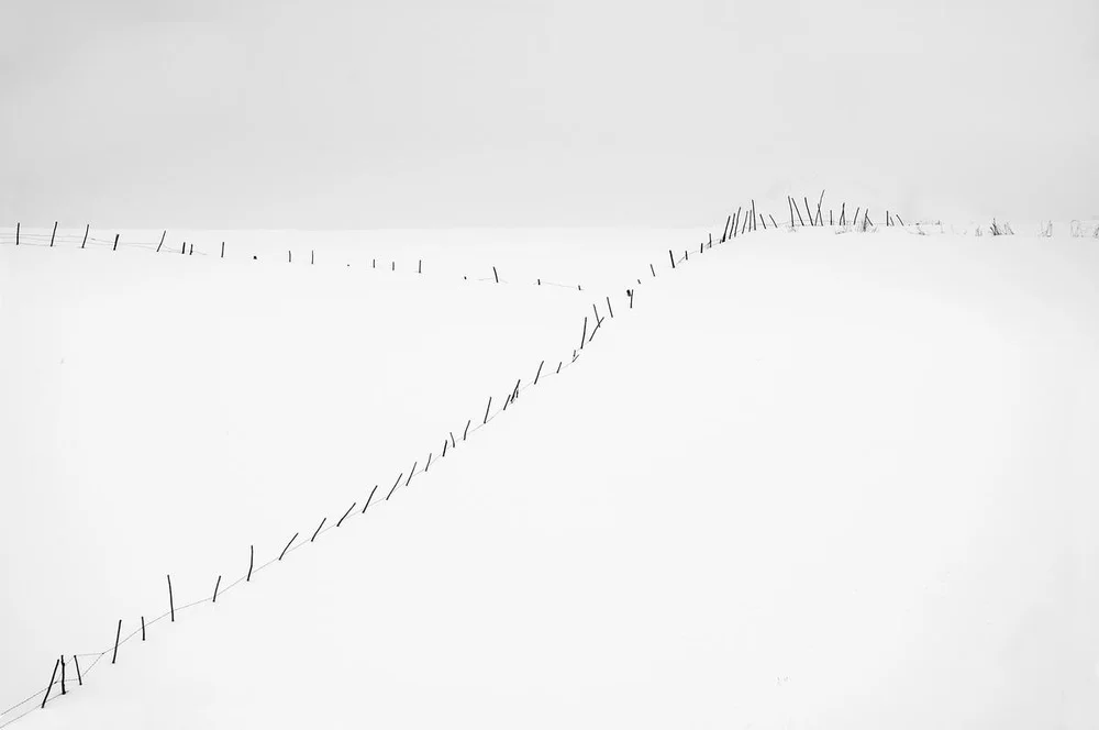 pure photo 5.jpg
