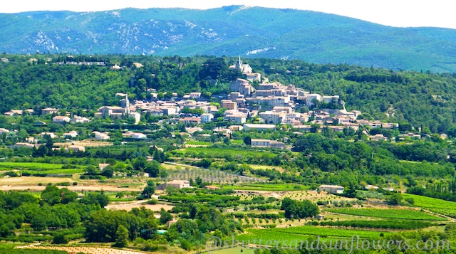 Bounneiaux across the vineyards