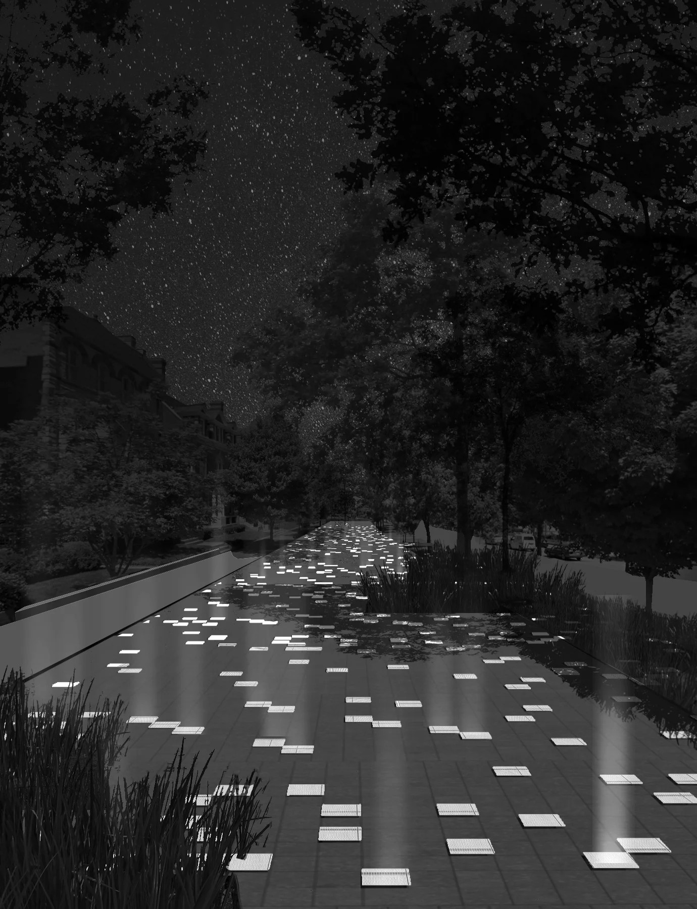 PARK VIEW copy bw.jpg