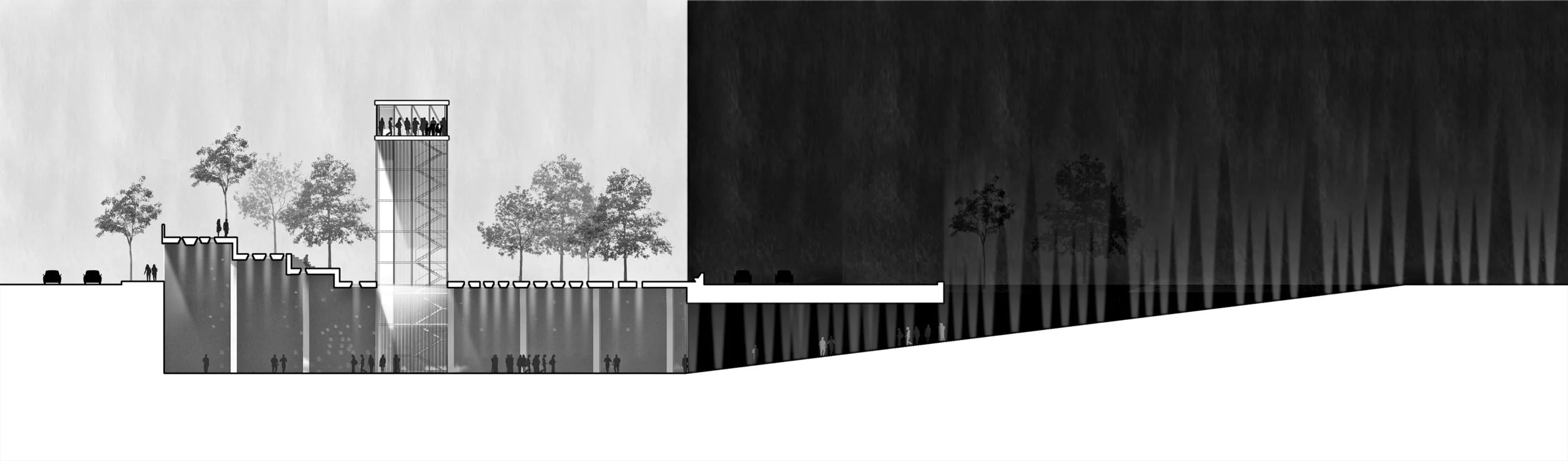 FINAL SECTION BW.jpg