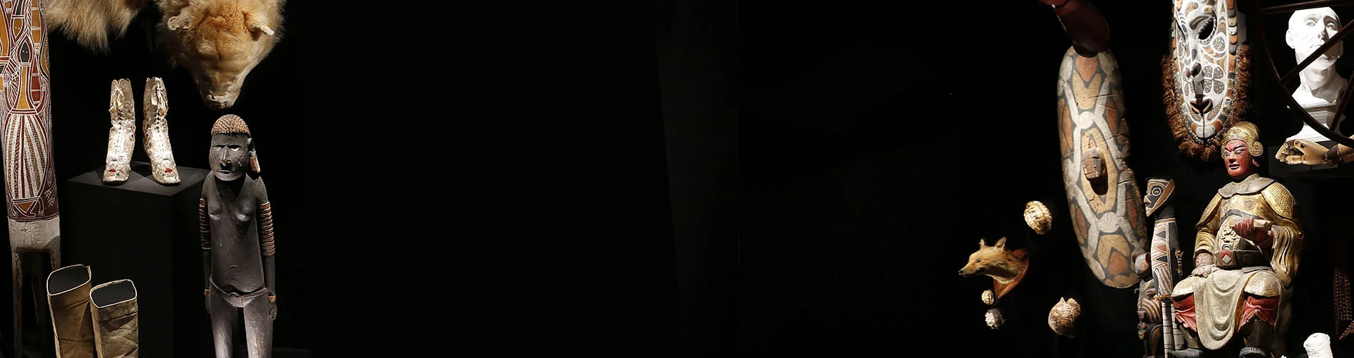 curio_tips_banner.jpg