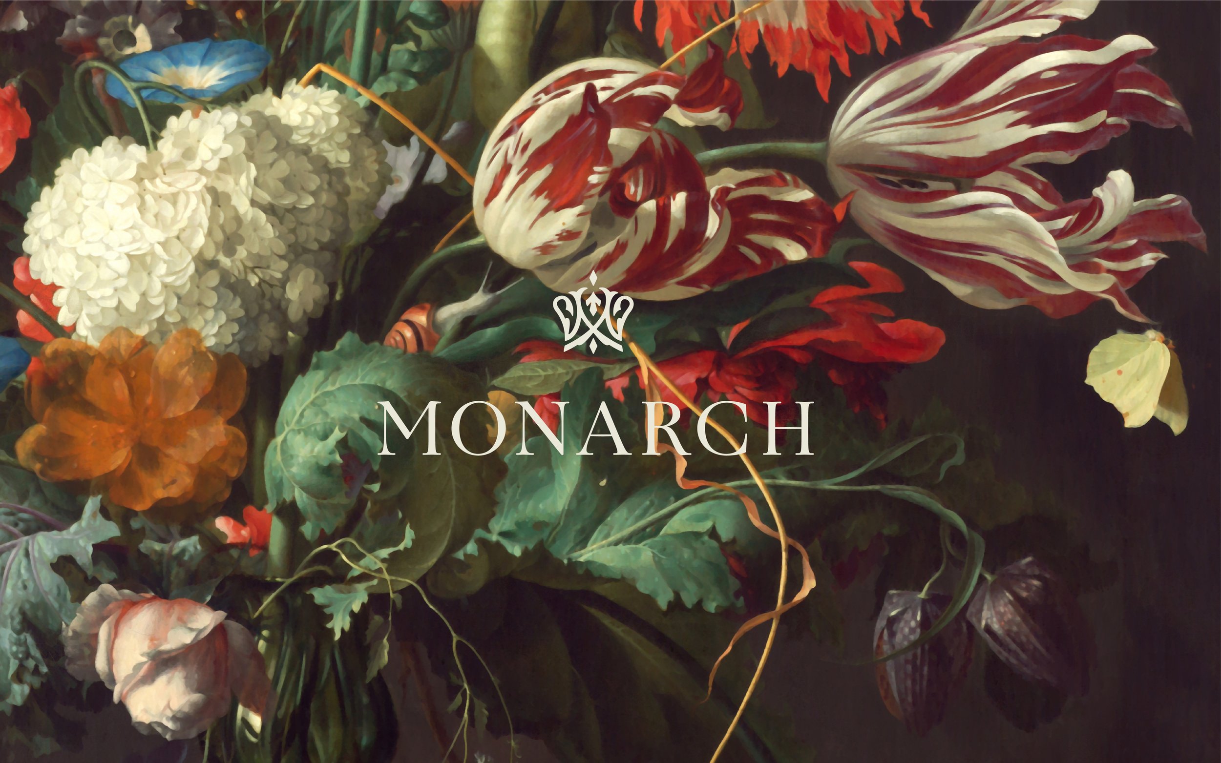 Monarch_portfolio-16.jpg