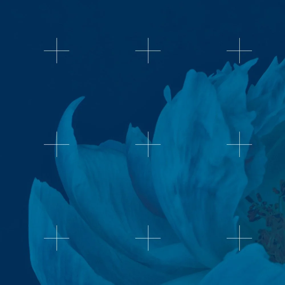 As a little kid, I used to spend my Saturdays at Concepts, my parents housewares stores. When I got tired of coloring in coloring books, they let me re-arrange all the displays. I realize now that it was so brave of them to let me hone my spacial ski