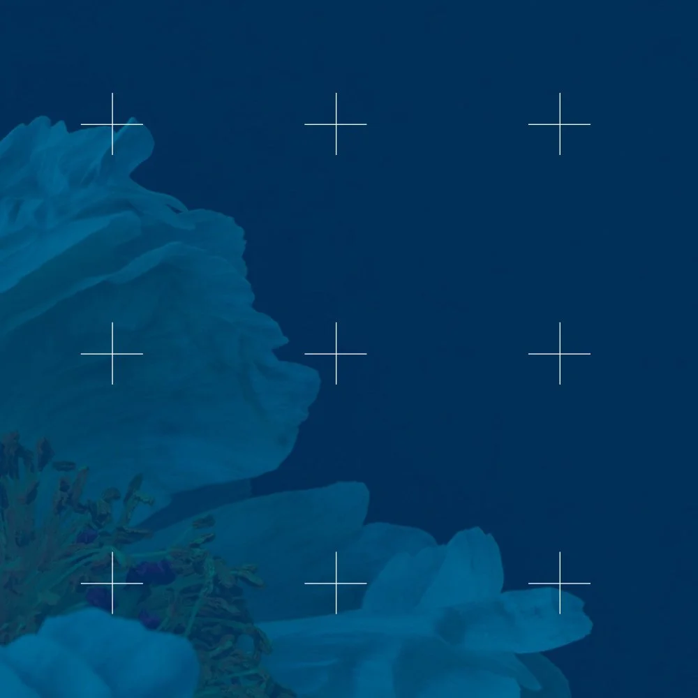 In 1972 (I was 5) my parents opened a housewares store. I think the only one that existed at the time for anyone who was not an interior designer, was Crate and Barrel with only 3 locations in Chicago. Our parents included my sister and me in some of