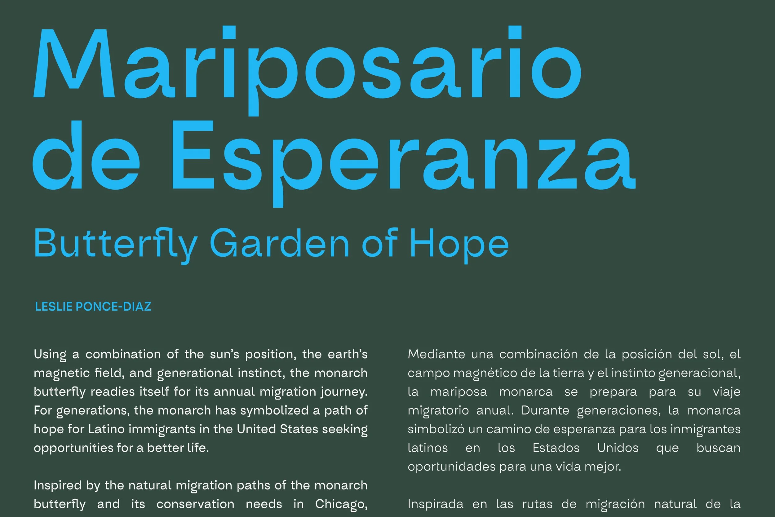 Mariposa Intro.jpg