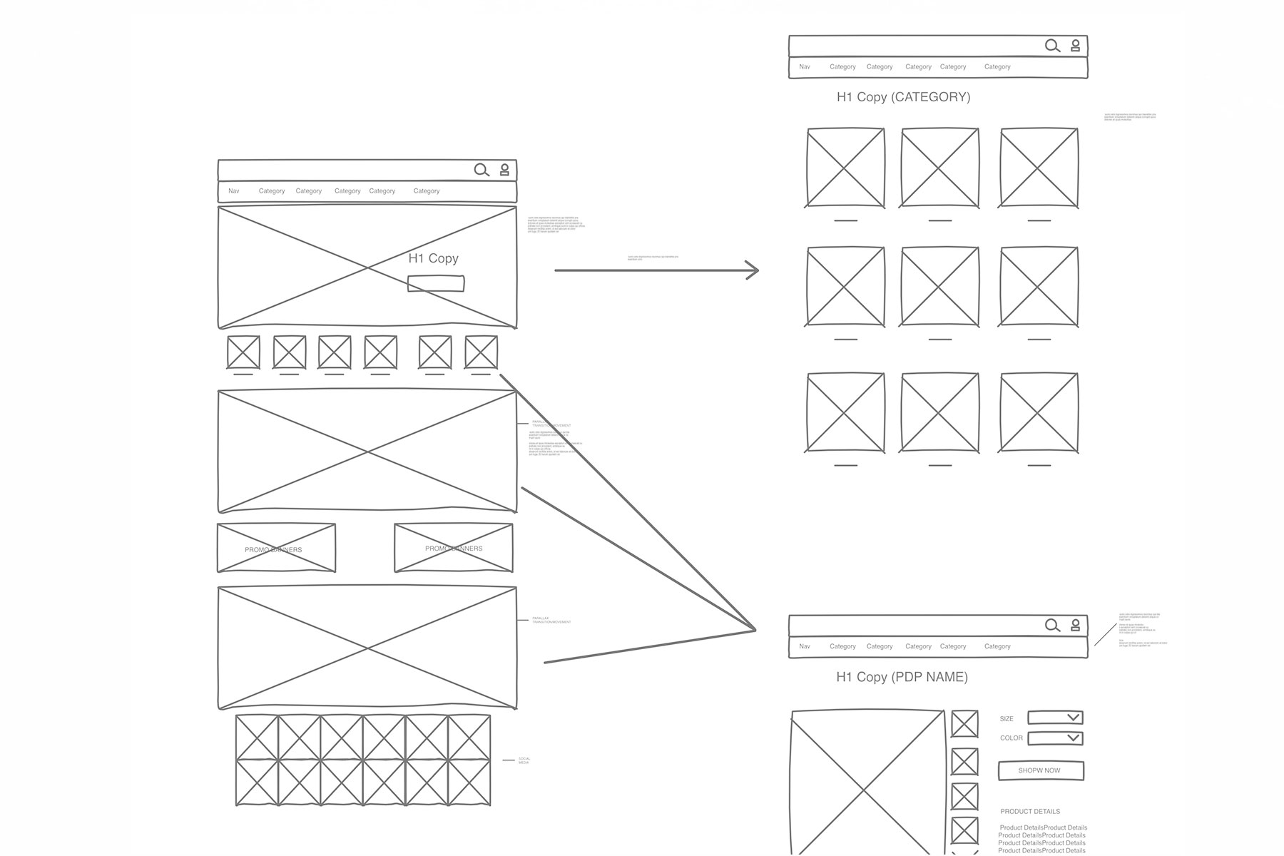 BiciciCoty_Website_Wireframes.jpg