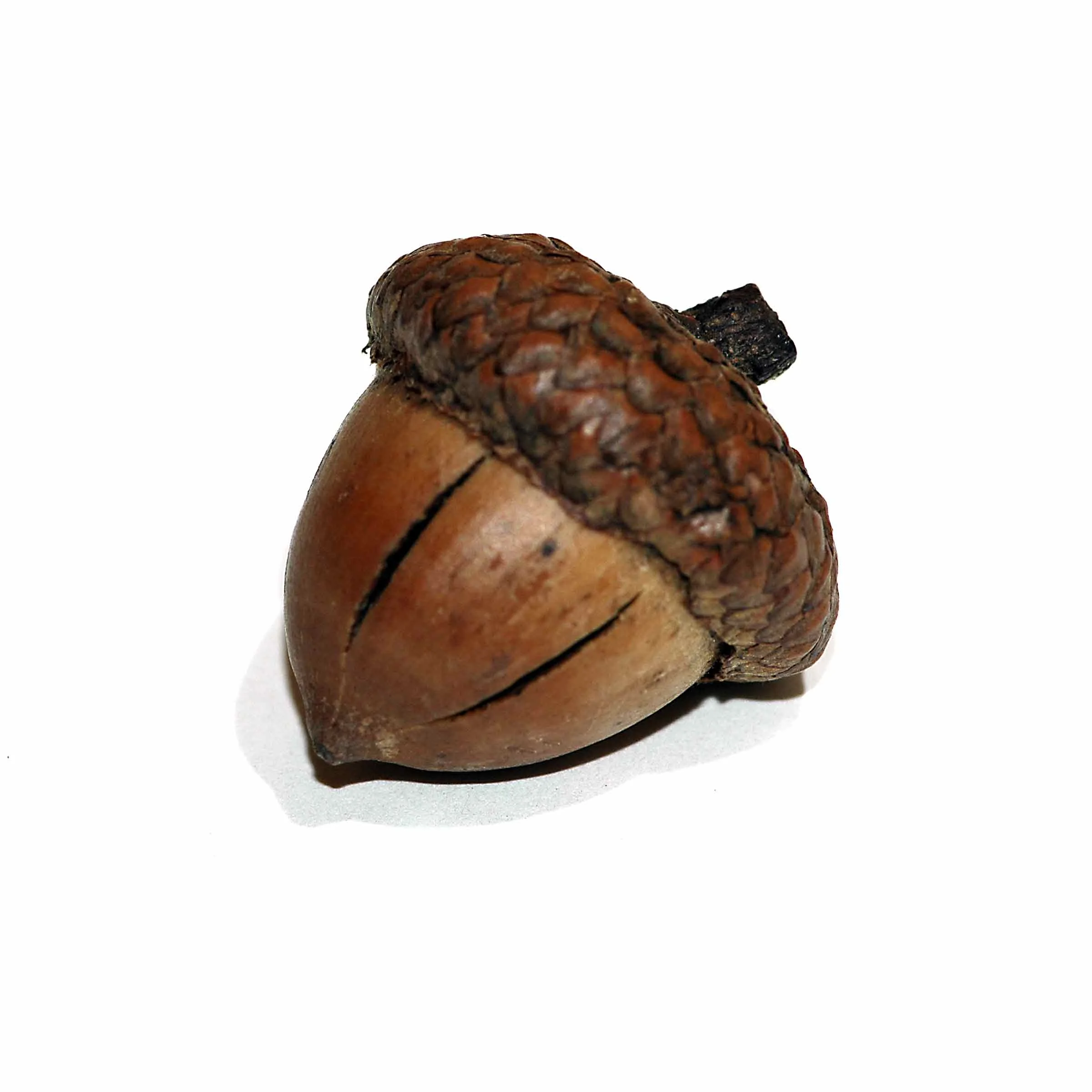 Pocket#64web.jpg
