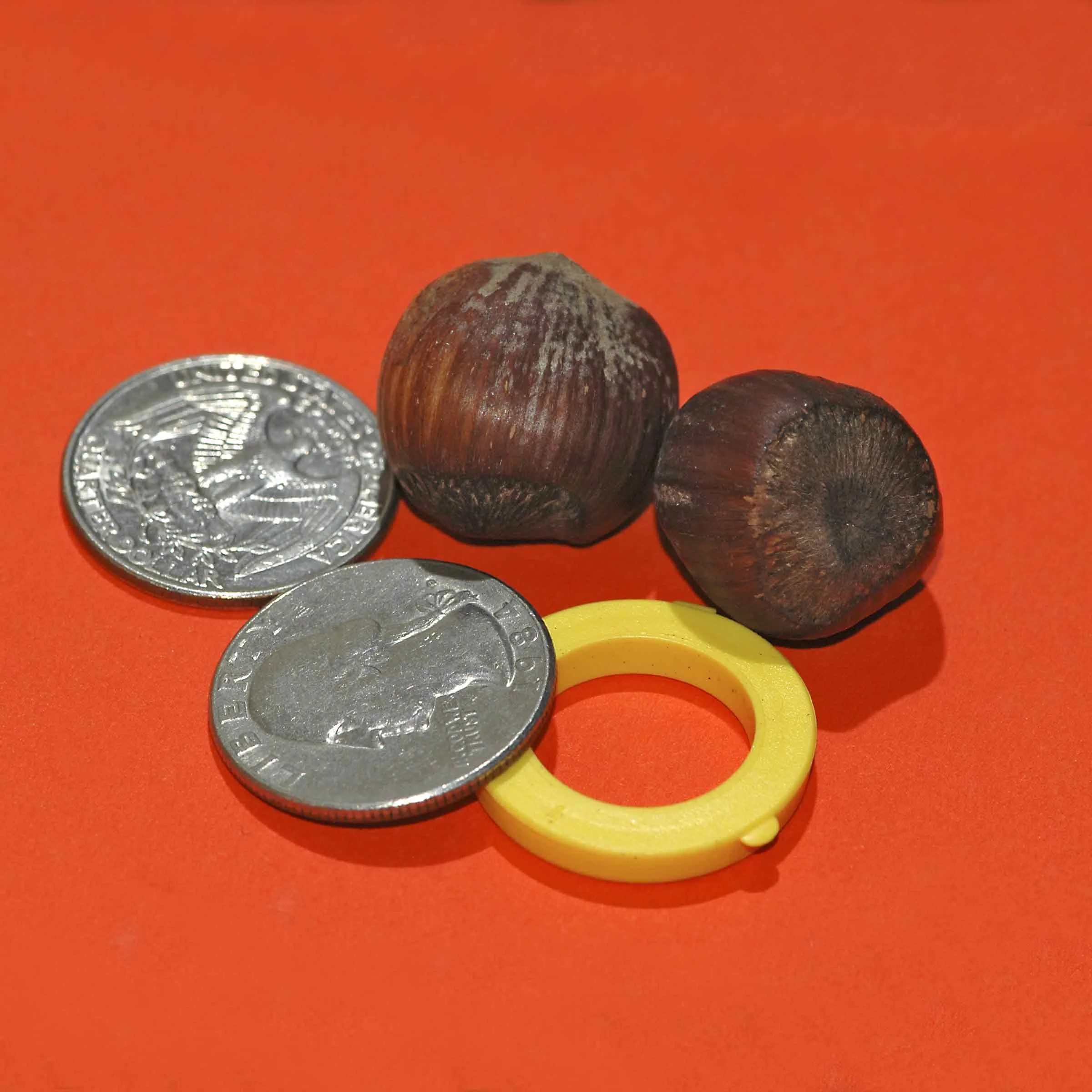 Pocket#70web.jpg