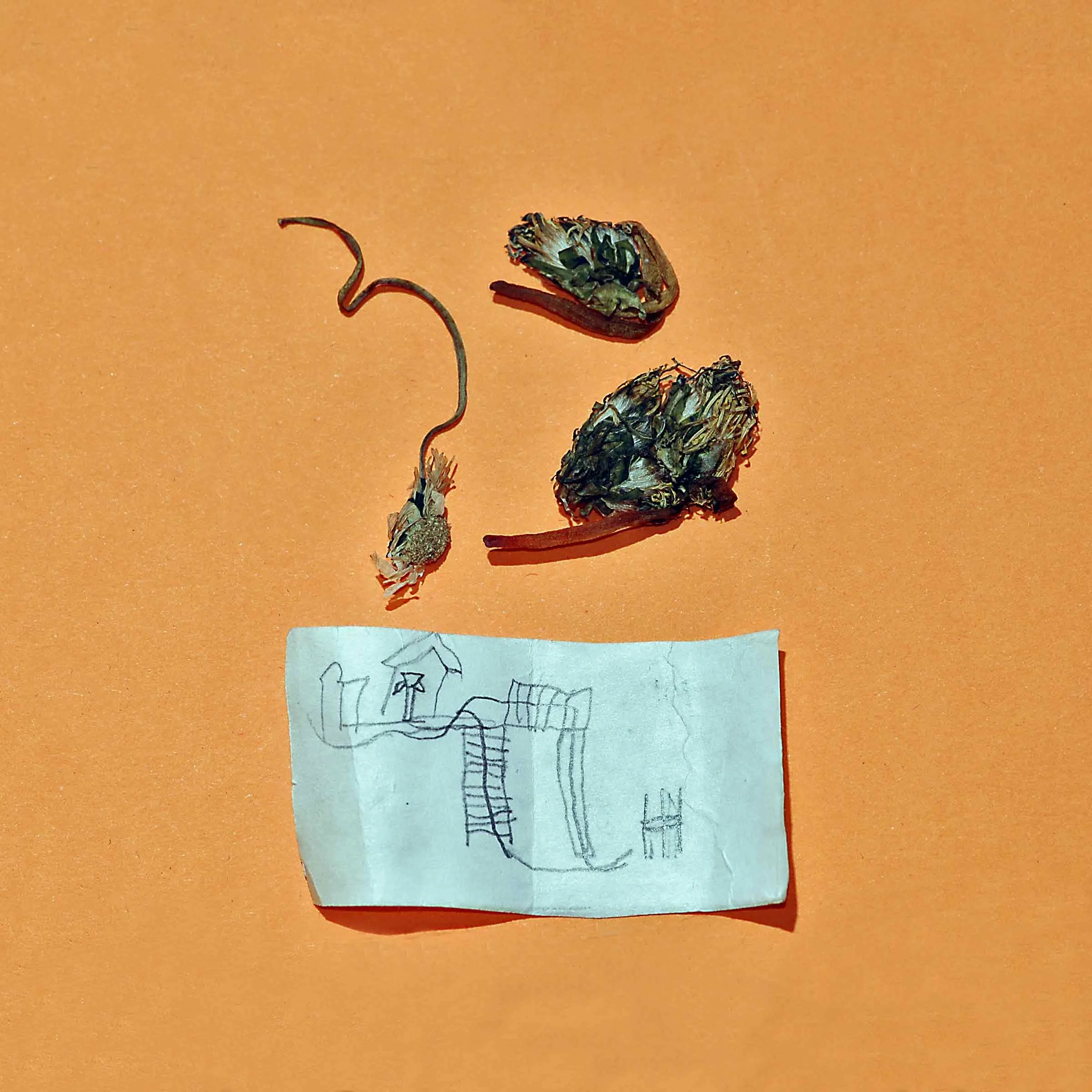 Pocket#78web.jpg