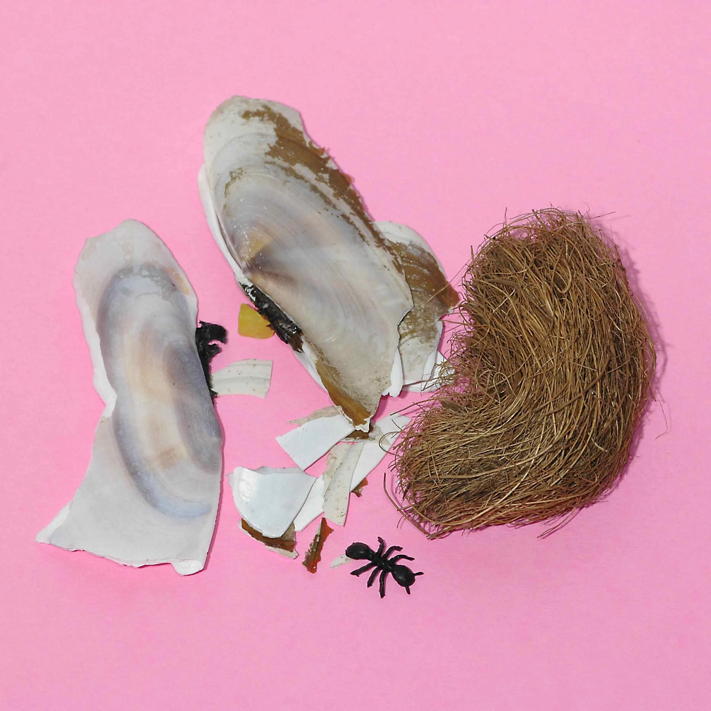 Pocket#86web.jpg