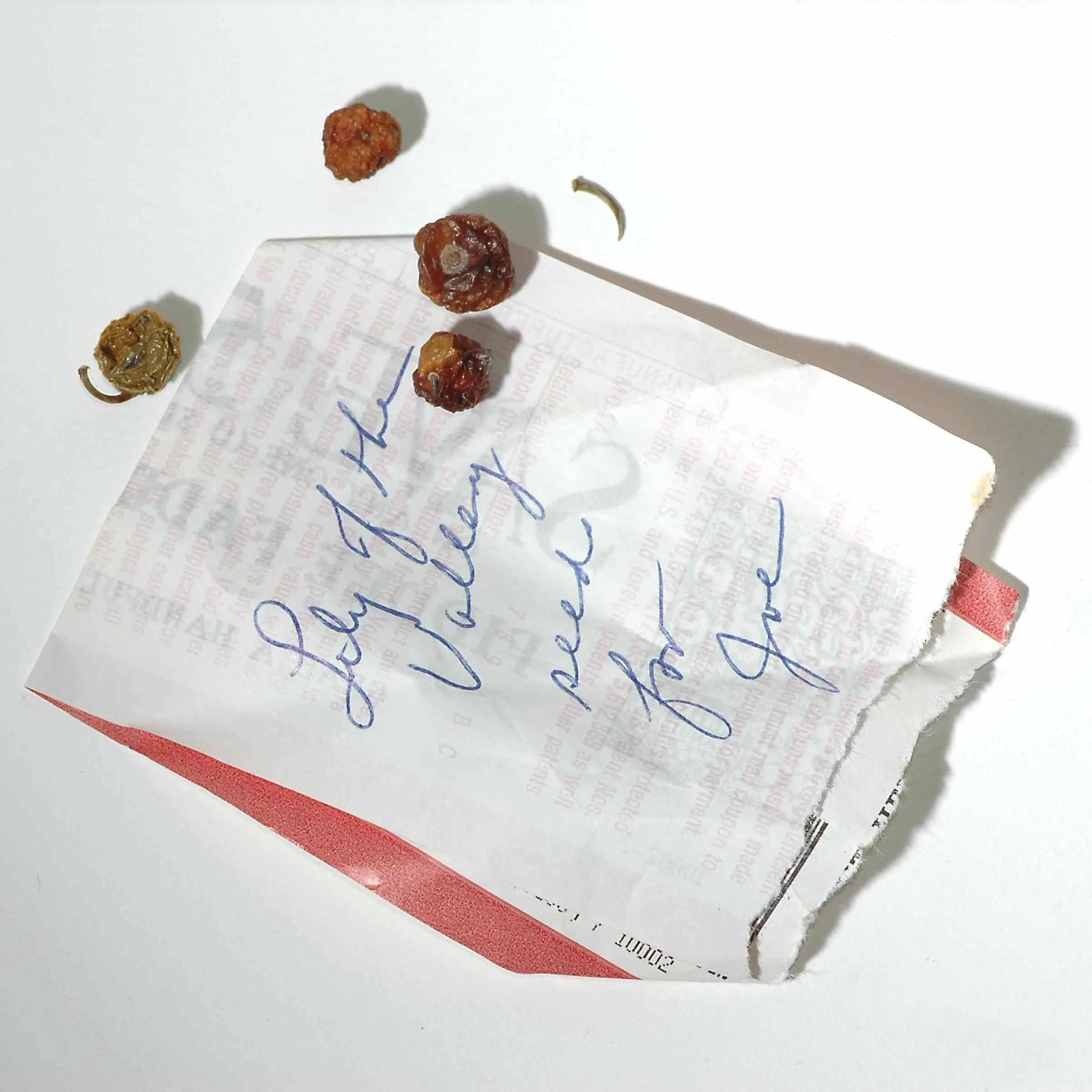 Pocket#88web.jpg