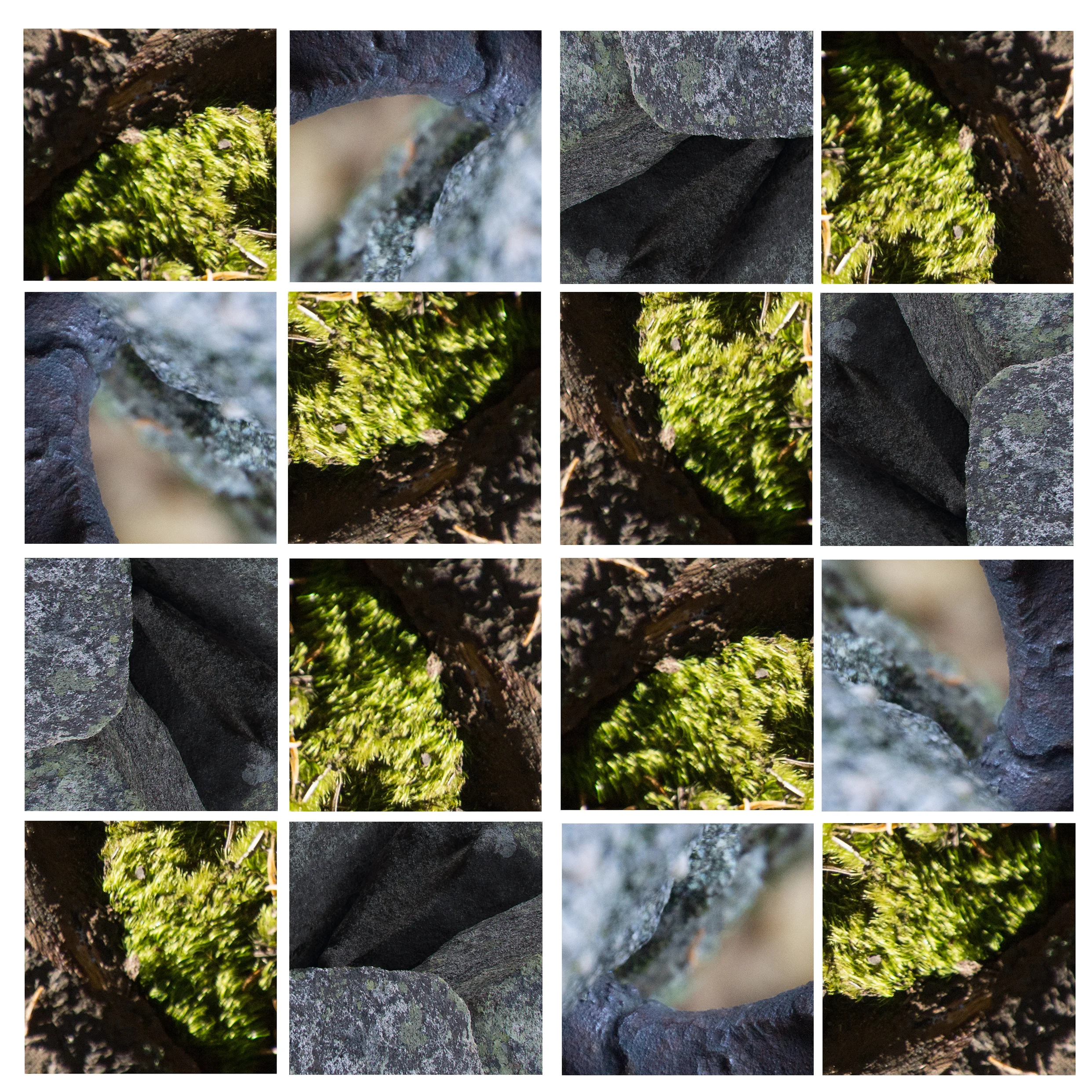 The Grid