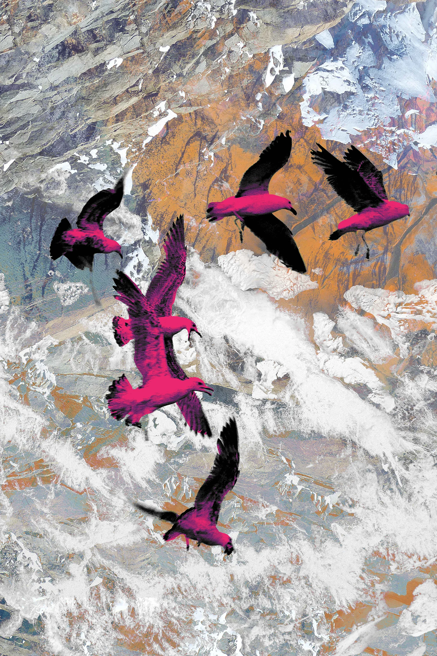 SquarespaceBirds.jpg