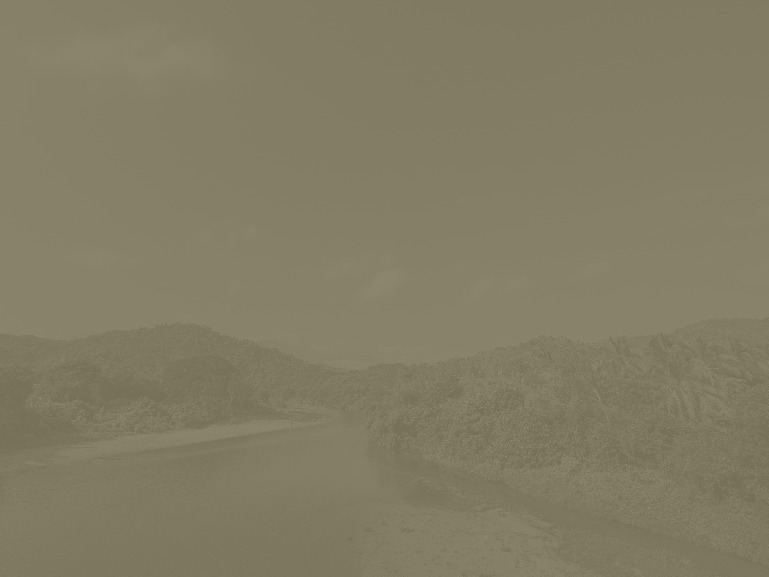 ir-bg-welcome.jpg