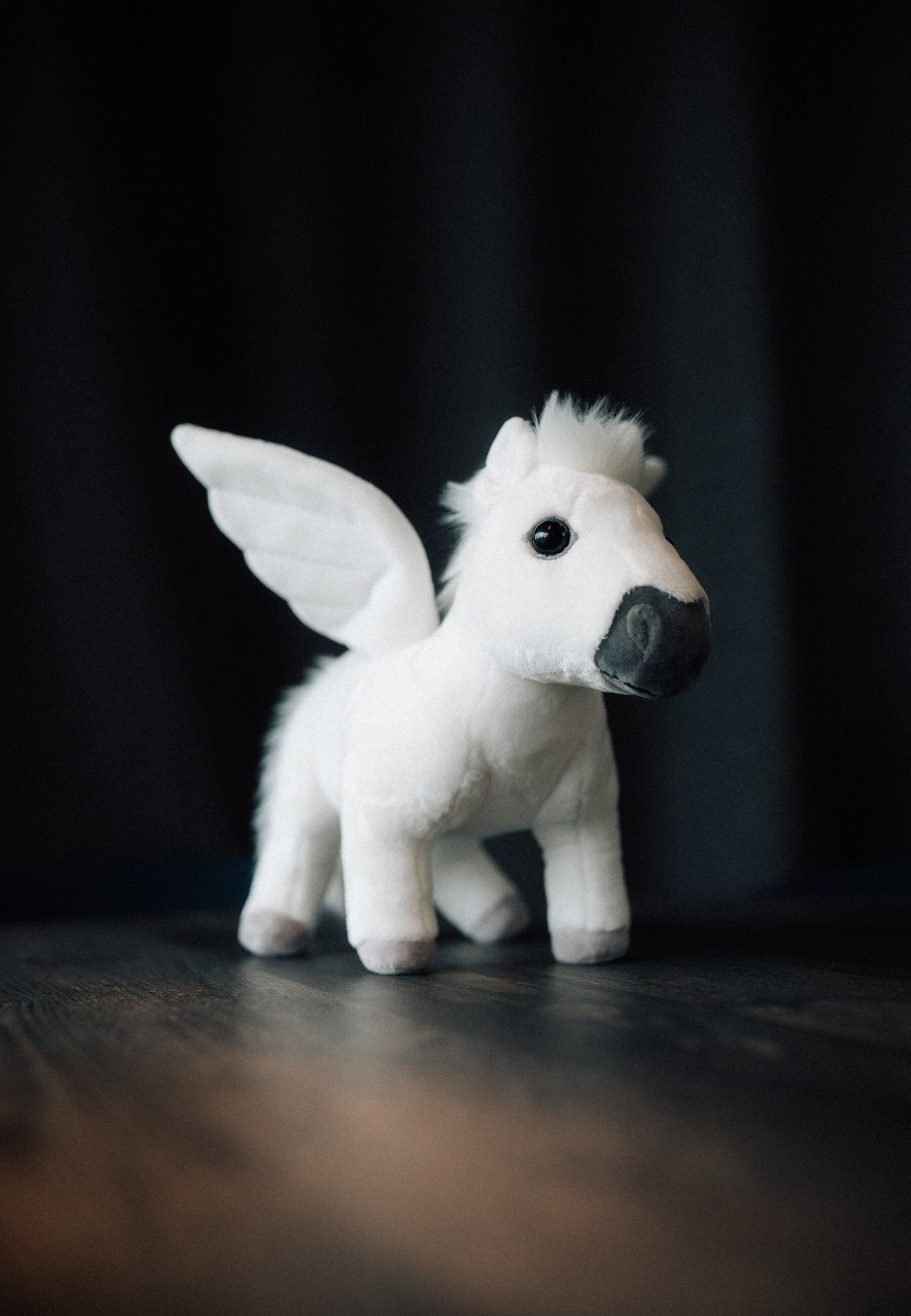 BMW Pegasus 4.jpeg